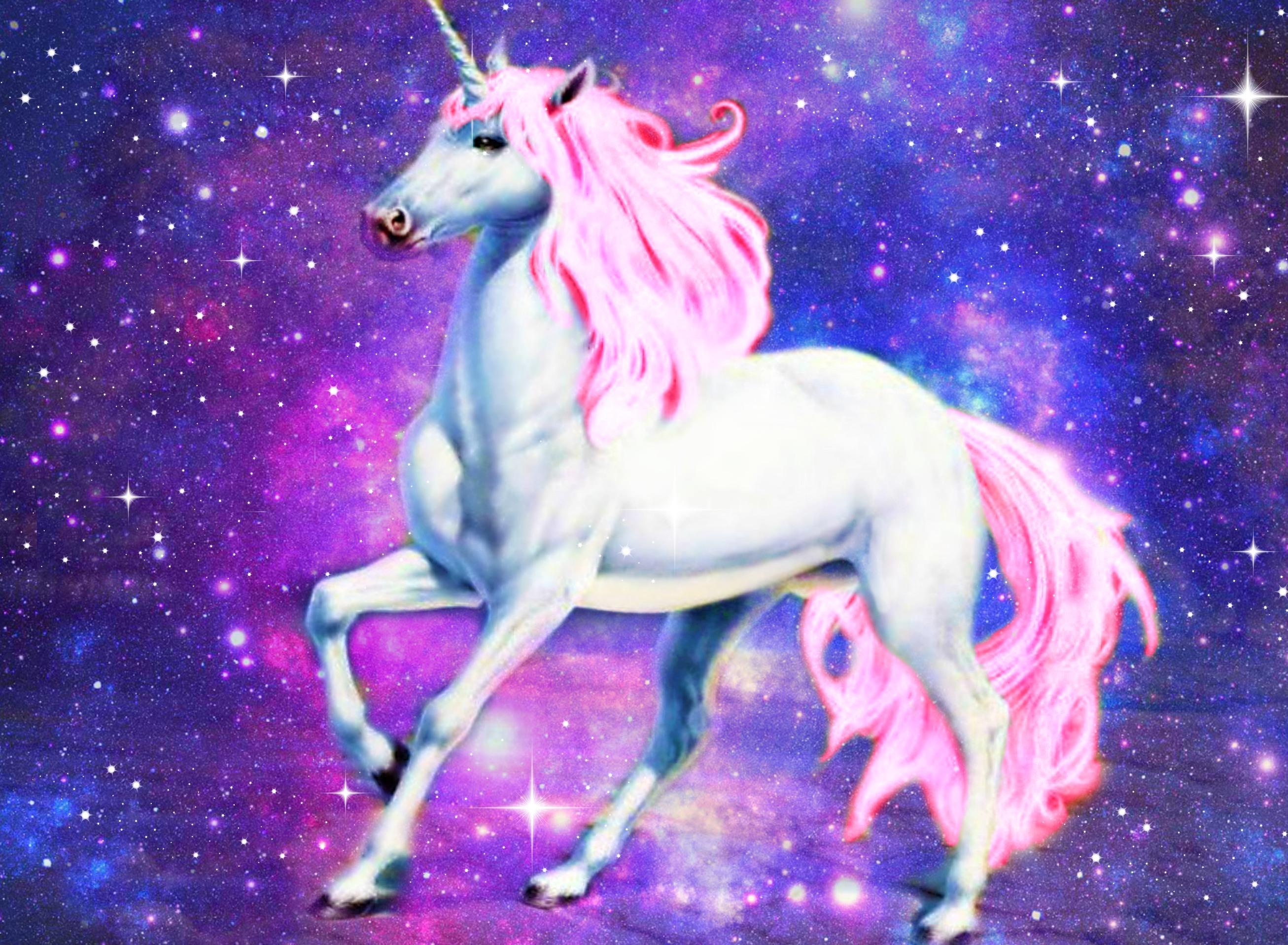 2613x1917 Unicorn Wallpaper Free Download