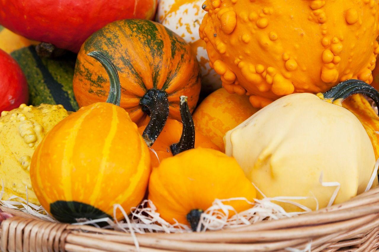 1280x853 Free Thanksgiving Picture, Image and Wallpaper