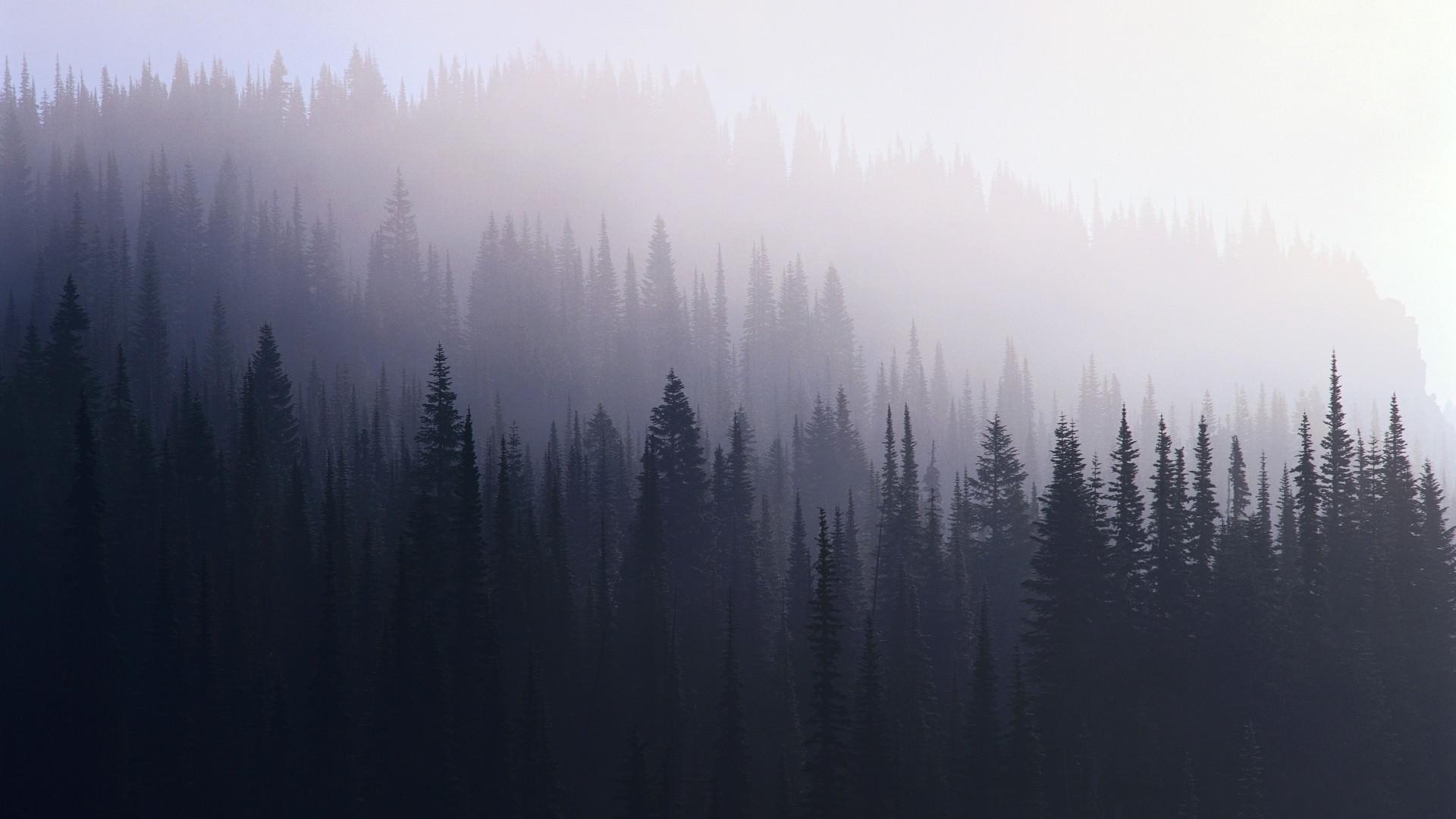 1920x1080 Hipster HD Wallpaper