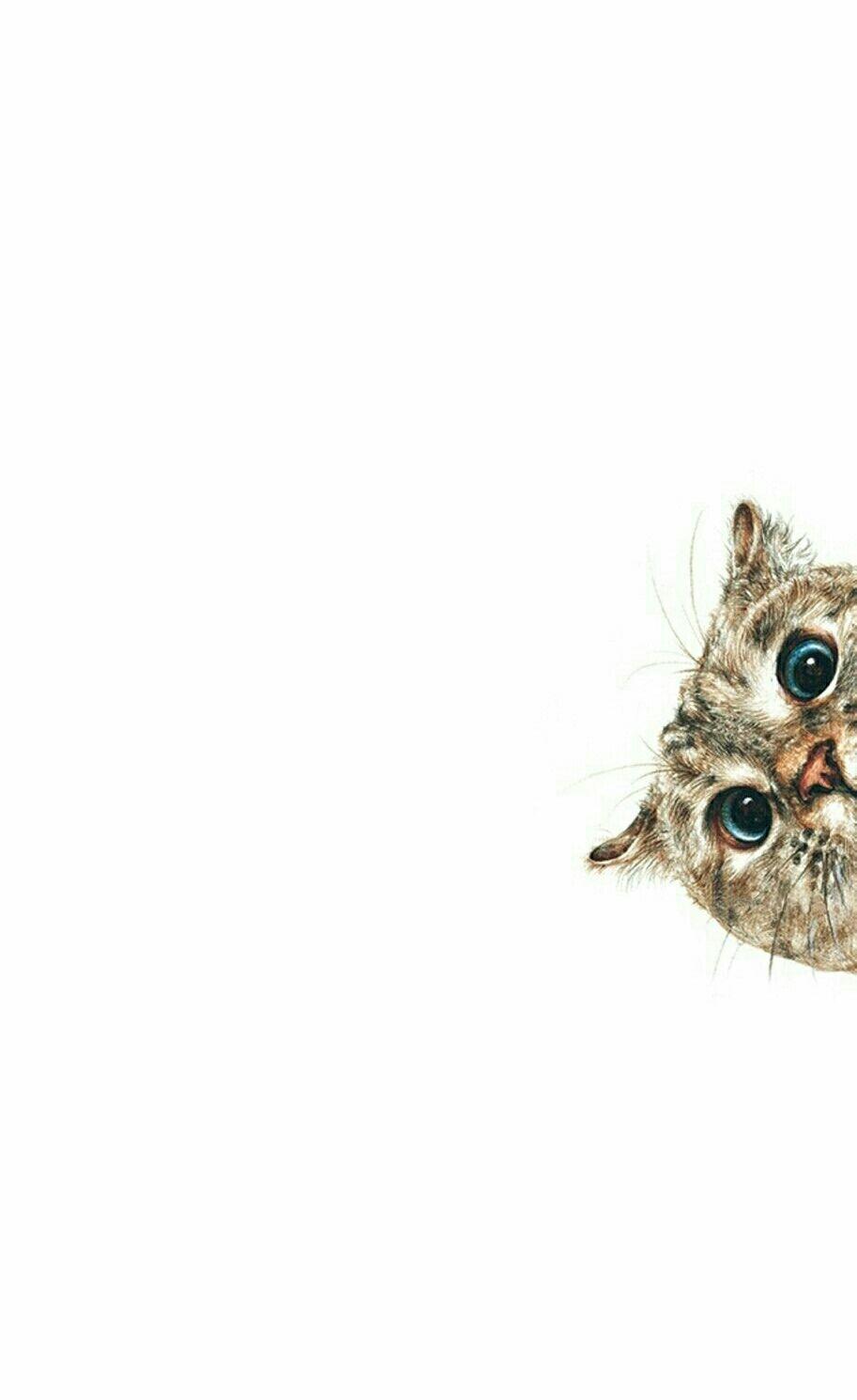 913x1490 Bo Cat Animal Cartoon Eye Wildlife Art Beak Wild Design