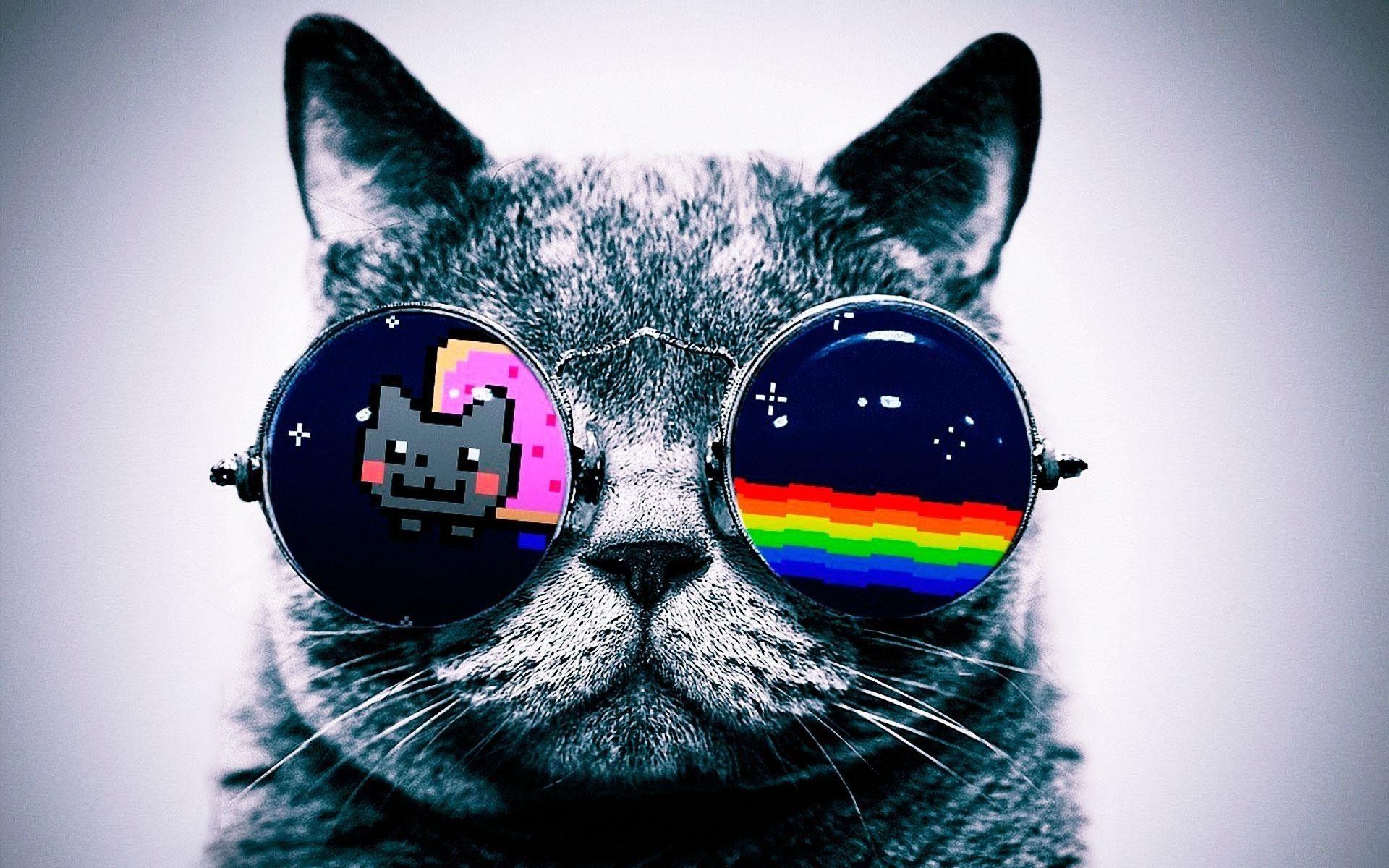 Hipster Galaxy Cat Wallpapers - Top Free Hipster Galaxy Cat Backgrounds - WallpaperAccess