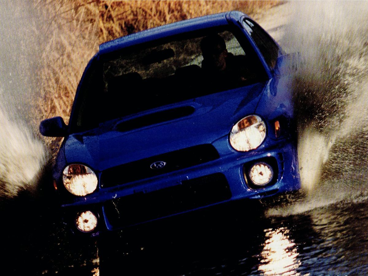 Bugeye Wallpapers - Top Free Bugeye Backgrounds - WallpaperAccess