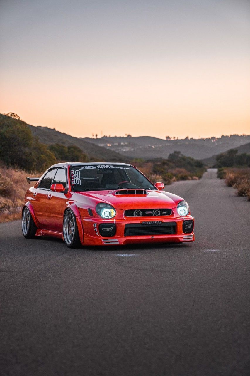 Bugeye Wallpapers - Top Free Bugeye Backgrounds - WallpaperAccess