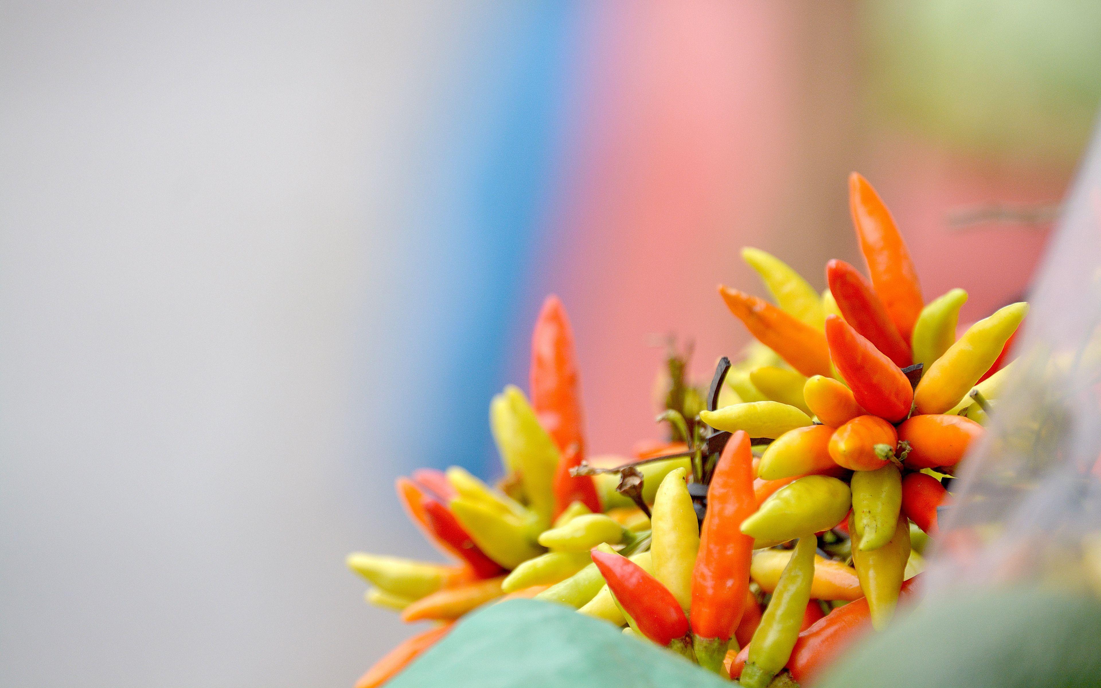 3840x2400 Download wallpaper 3840x2400 chili, tegucigalpa, honduras 4k