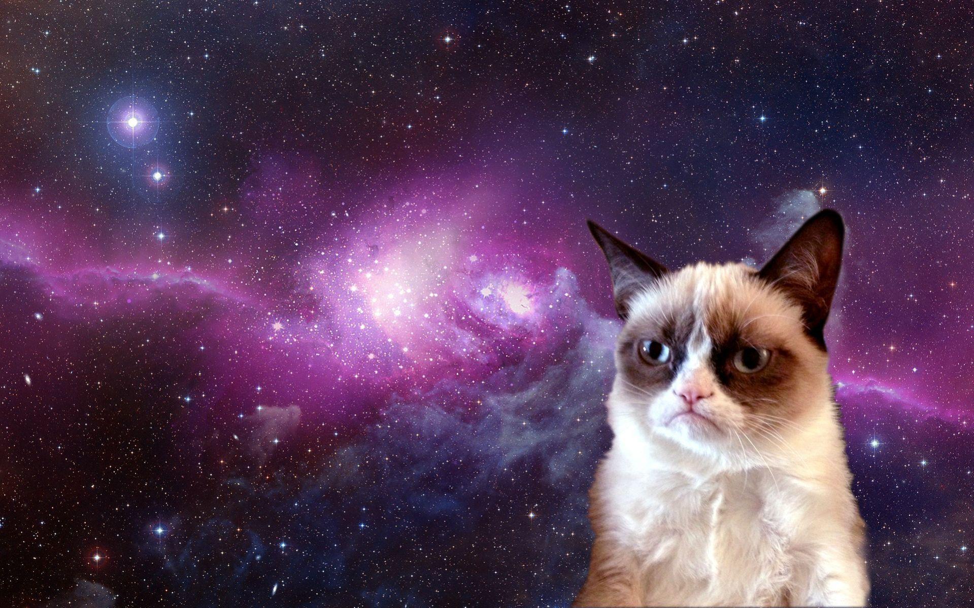 Hipster Galaxy Cat Wallpapers - Top Free Hipster Galaxy Cat Backgrounds