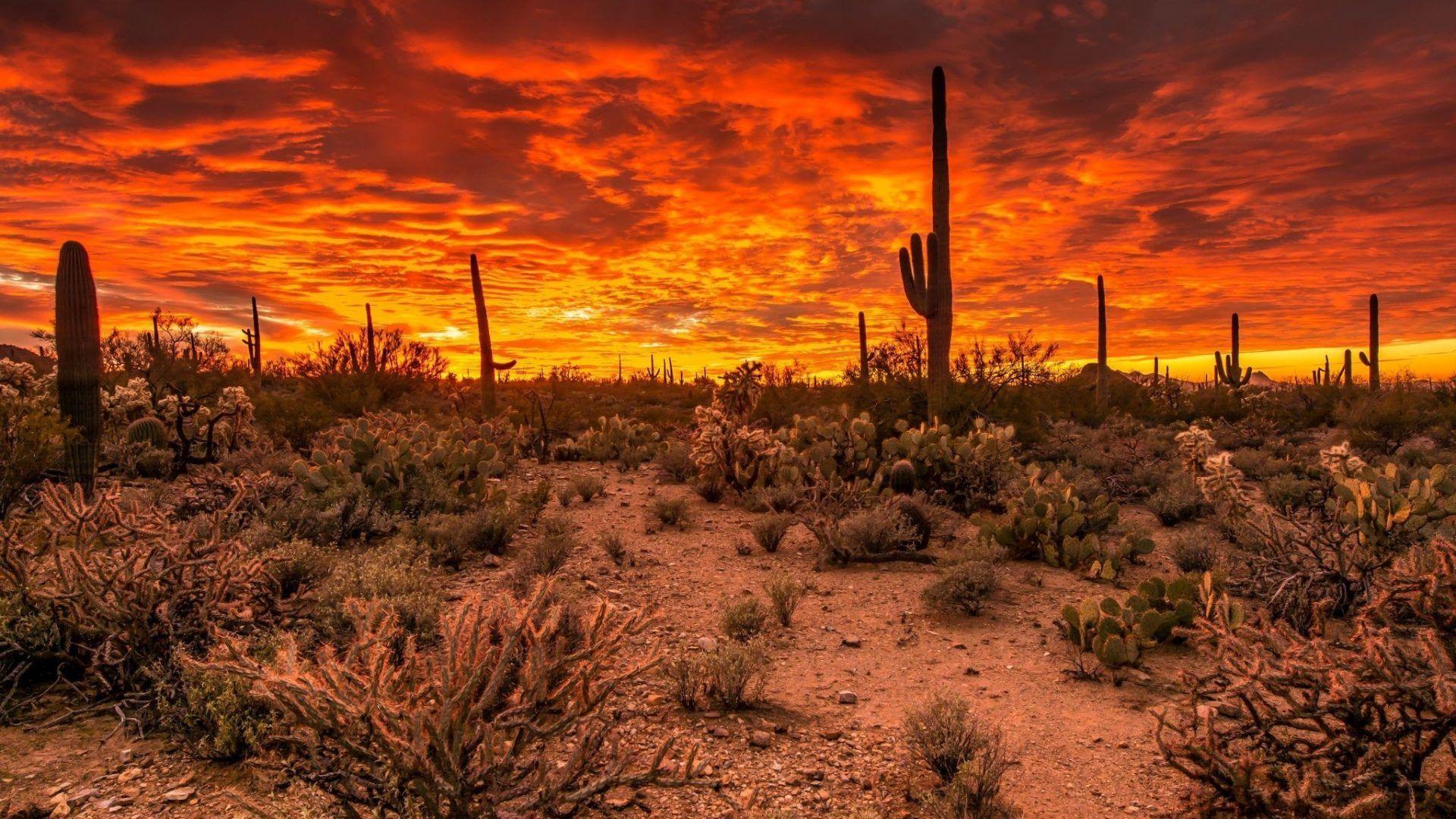 Arizona Desert HD Wallpapers - Top Free Arizona Desert HD Backgrounds