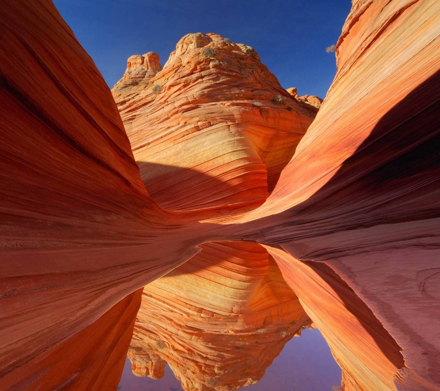 1440x1280 Grand Canyon HD Wallpaper