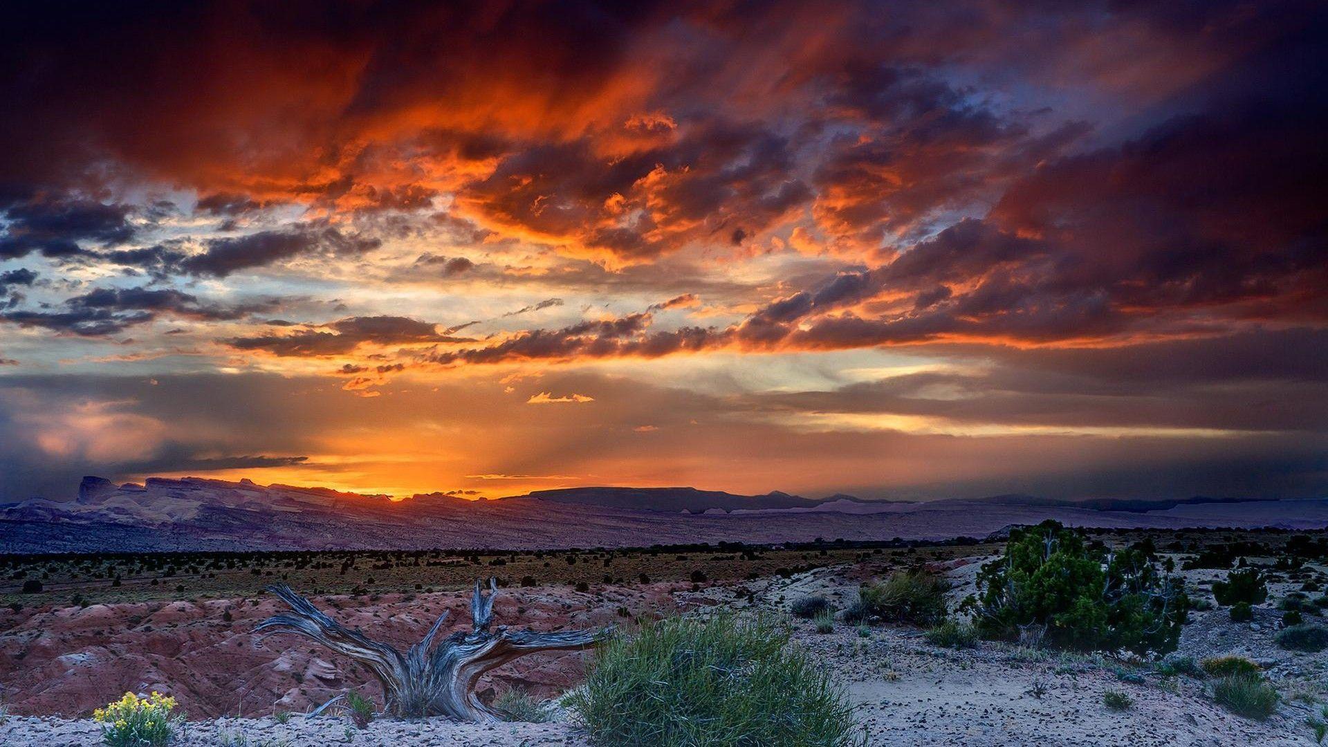 1920x1080 Desert Sunset HD desktop wallpaper : Widescreen : High