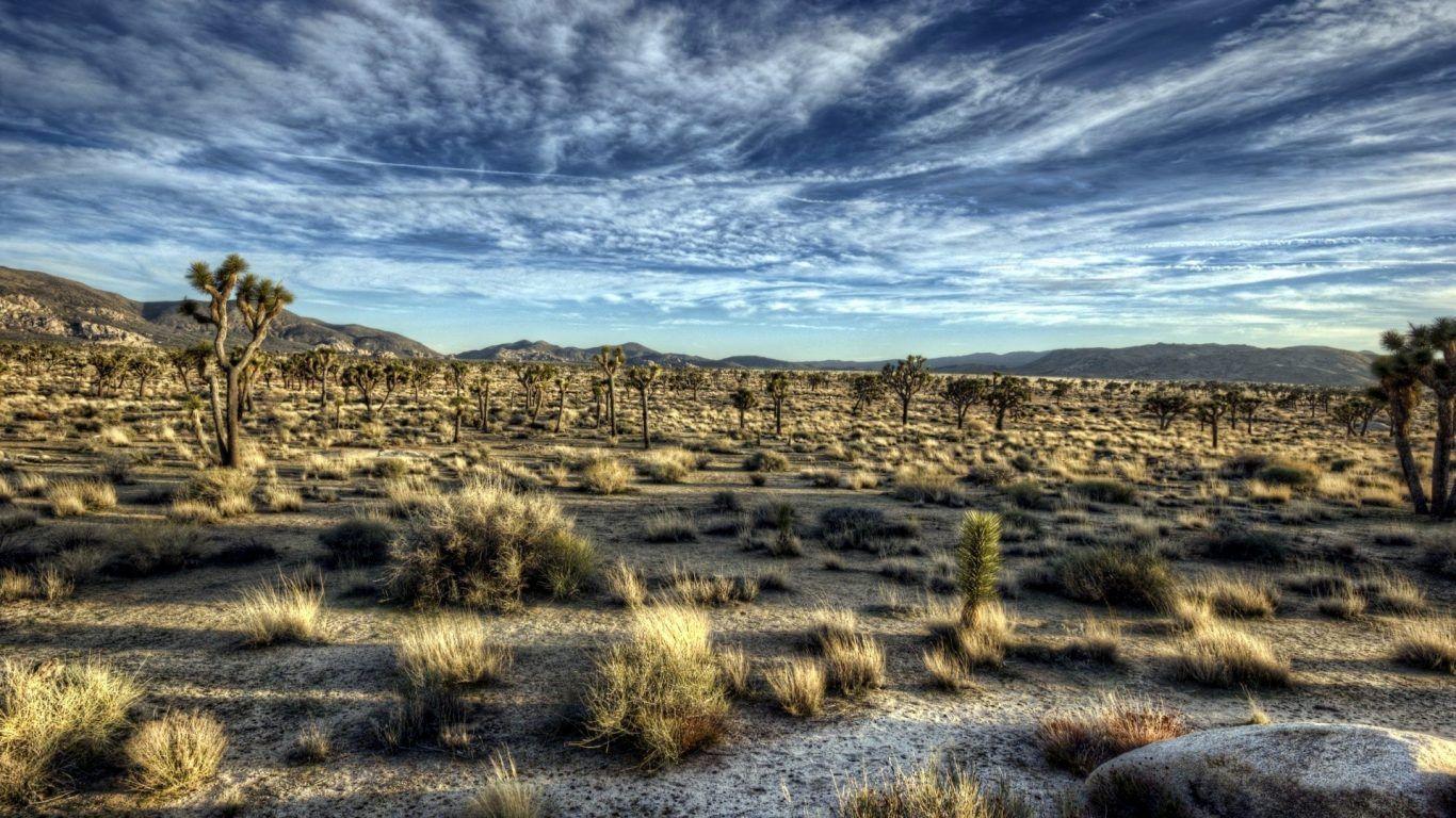 1366x768 Arizona desert wallpaper Gallery