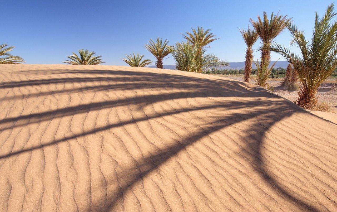 Palm Desert Wallpapers - Top Free Palm Desert Backgrounds - WallpaperAccess