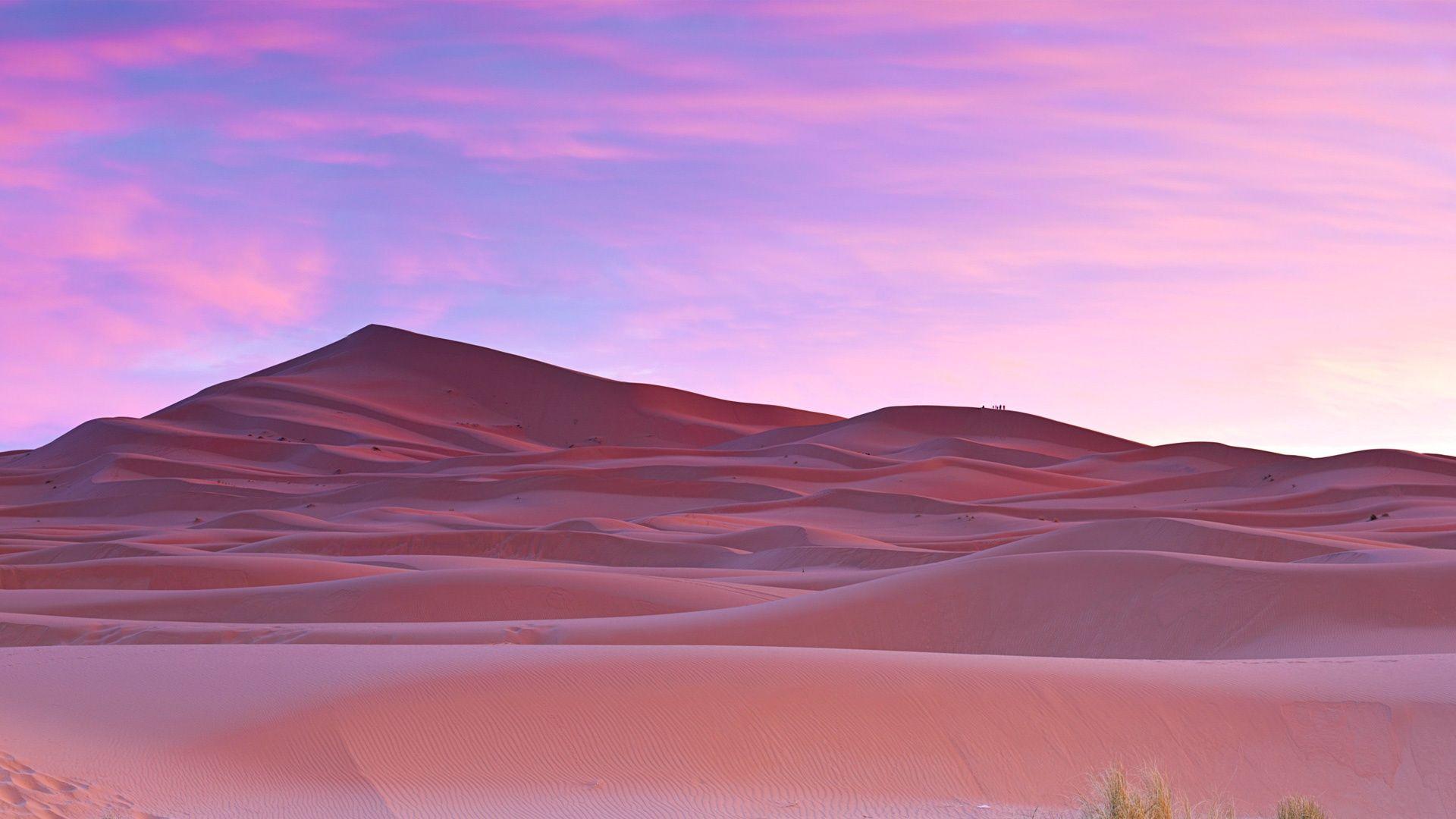 Palm Desert Wallpapers - Top Free Palm Desert Backgrounds - WallpaperAccess