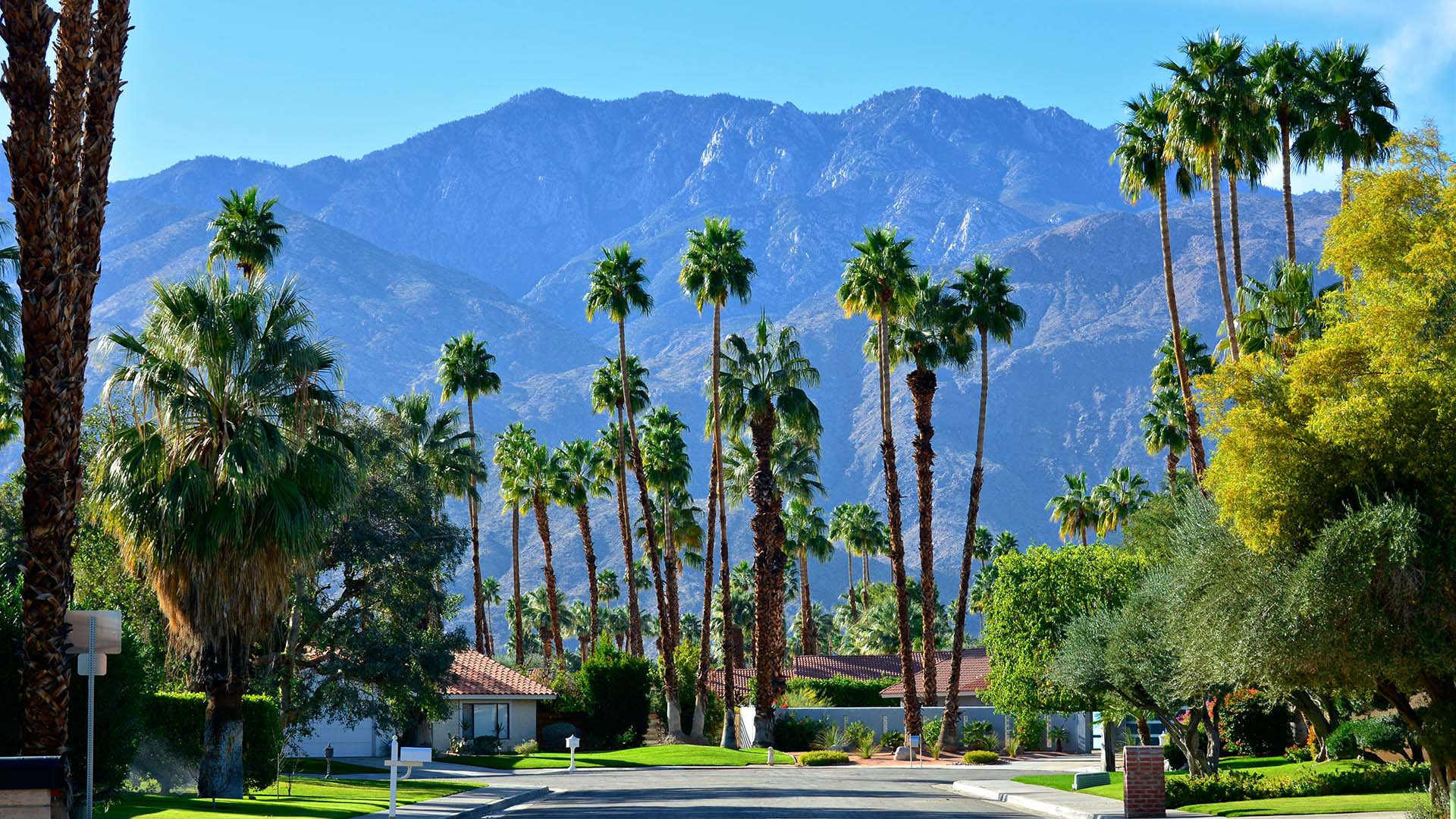 Palm Desert Wallpapers - Top Free Palm Desert Backgrounds - WallpaperAccess