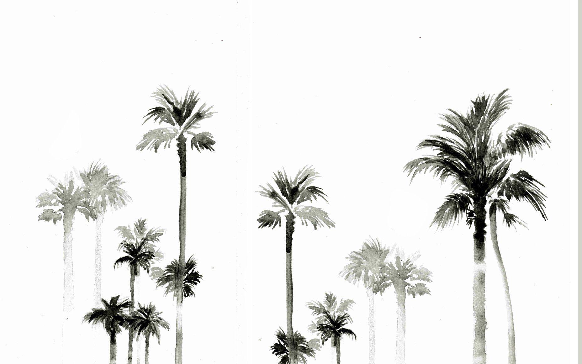 1856x1161 Summer Wallpaper My Selection What Lola Wants Inside Palm