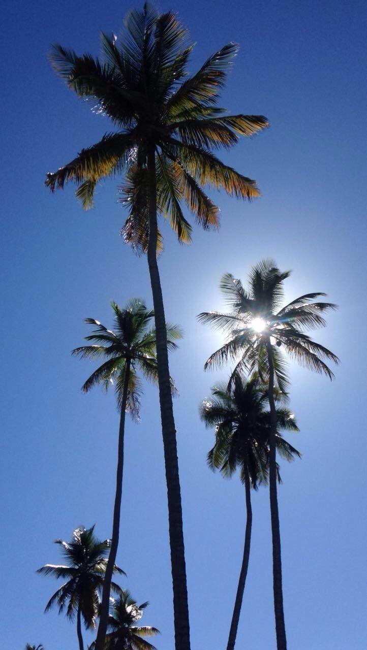 722x1280 California Palm Trees, Wallpaper S, Palms, iPhone Wallpaper