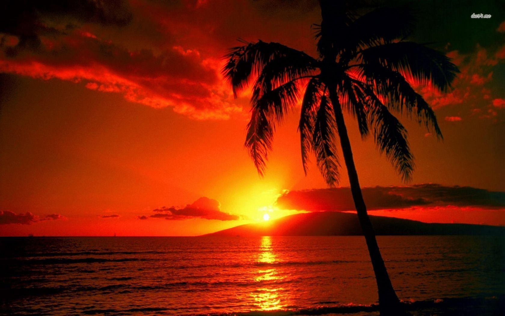 Orange sunset Hawaii