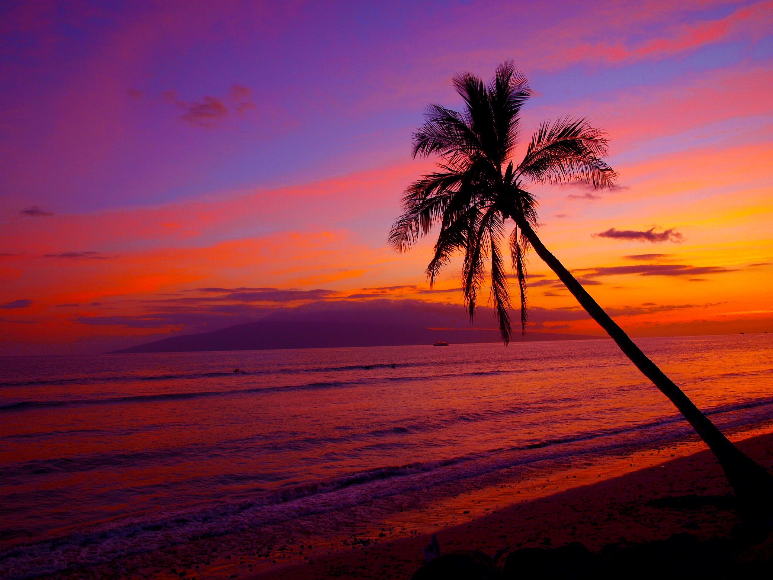 2560x1920 Sunrise Purple Hawaii Sunset Wallpaper - Tải xuống tại