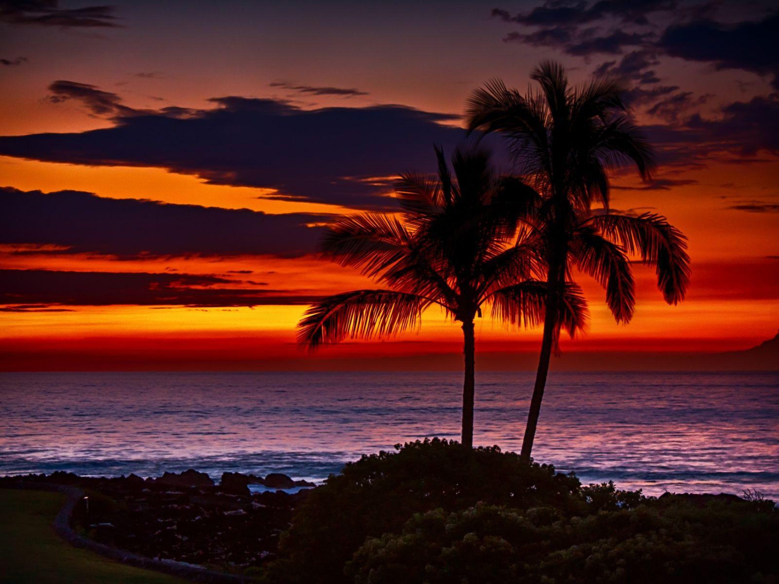 1600x1200 Hawaii Orange Sunset hình nền