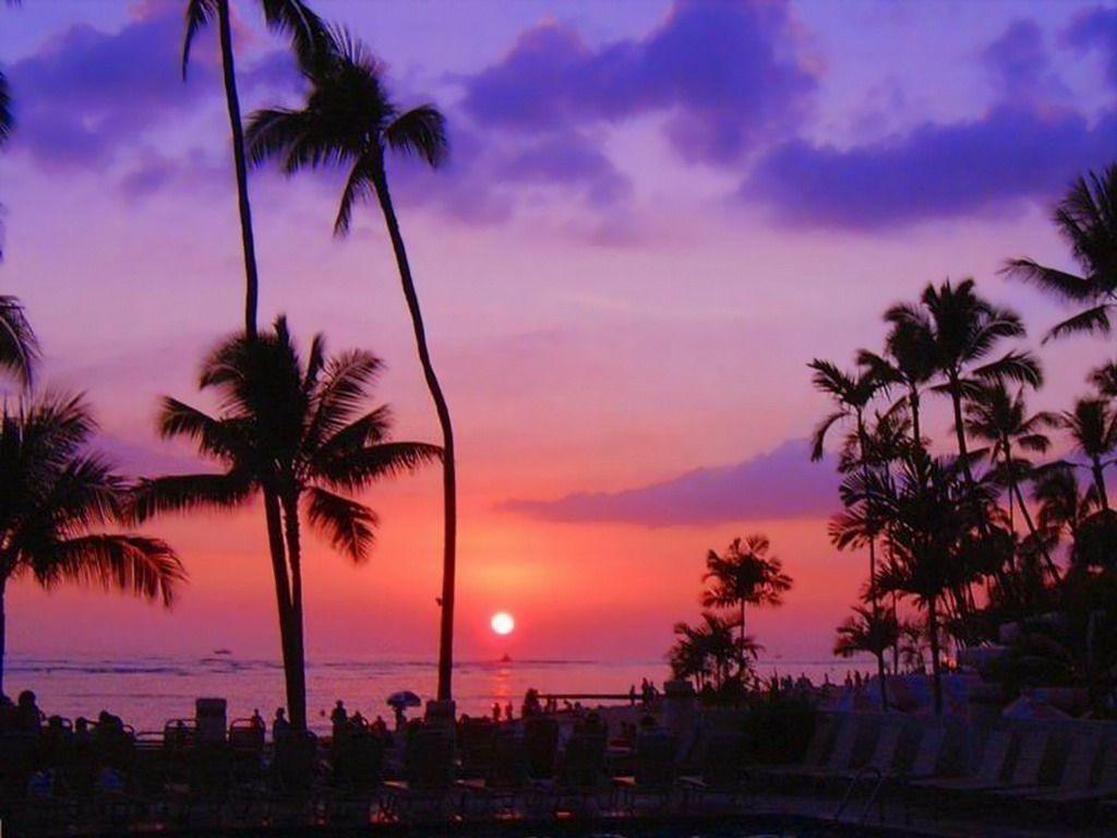 1024x768 Hawaii Sunset hình nền