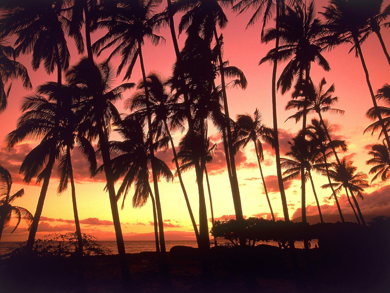 1600x1200 Hawaii Sunset Wallpaper fo