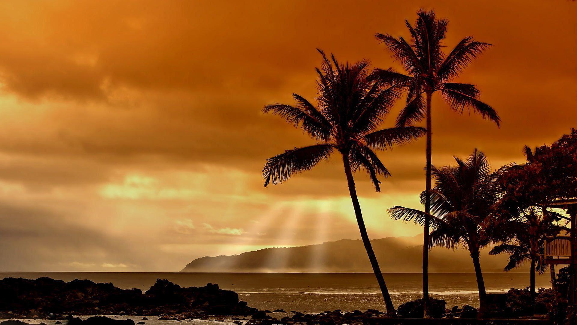 1920x1080 Sunset Hawaii Beach Desktop Wallpaper - Tải xuống tại