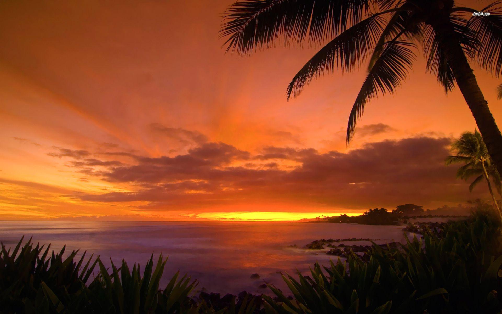 1920x1200 Hình nền hoàng hôn Hawaii - Hình nền bãi biển