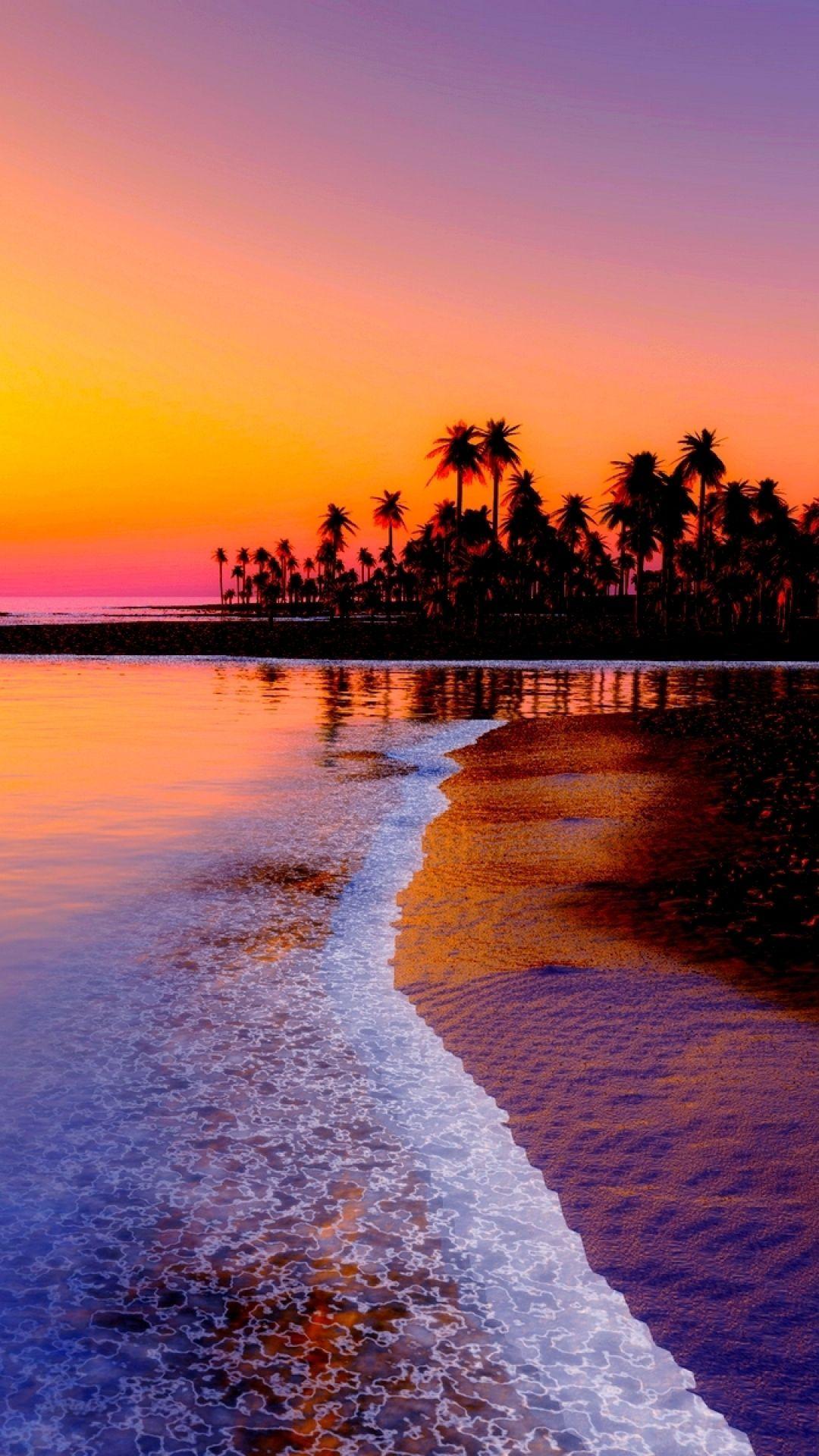 1080x1920 Sea Coast tree Sunset Hawaii USA hình nền