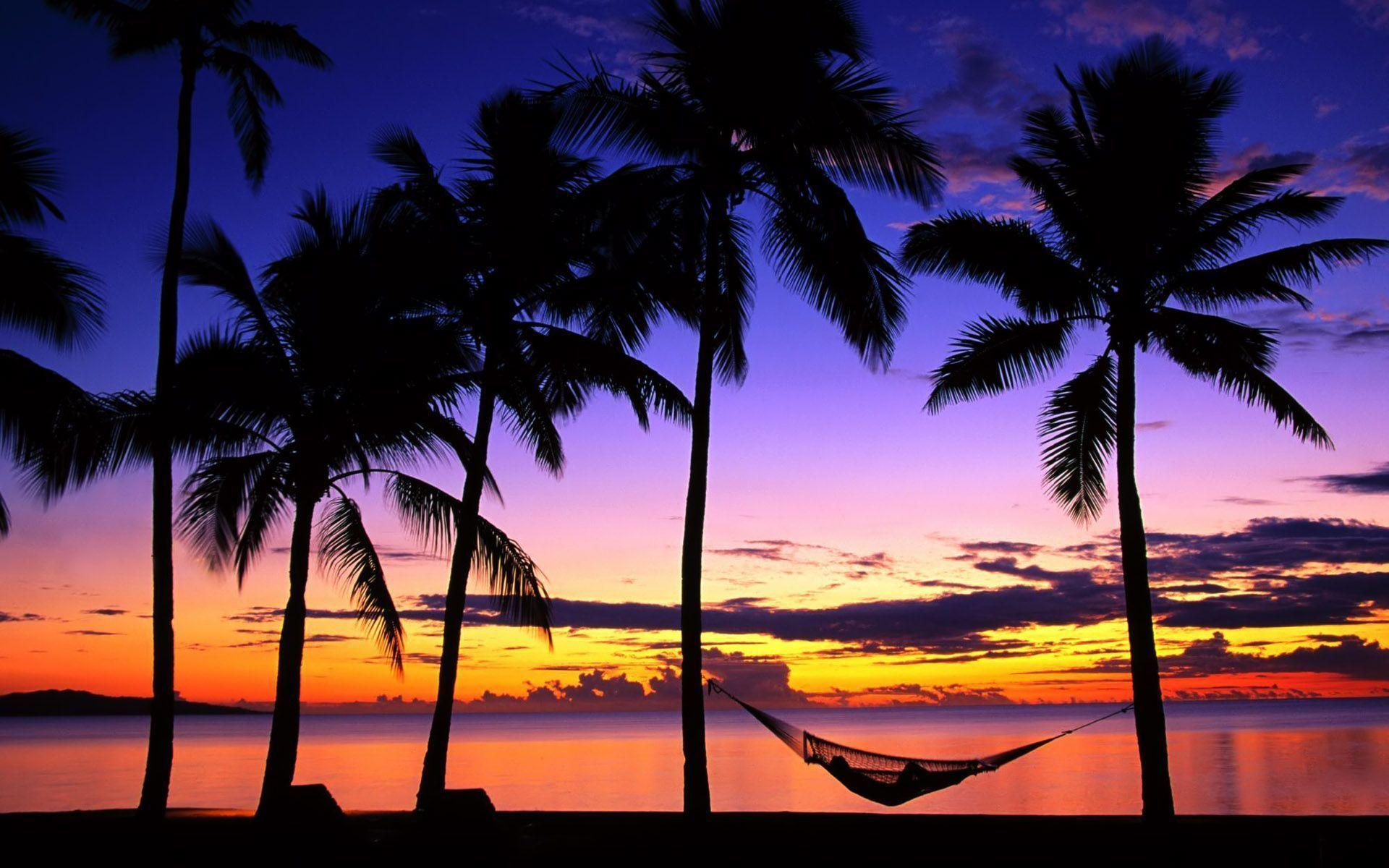 1920x1200 Sunset Wallpaper