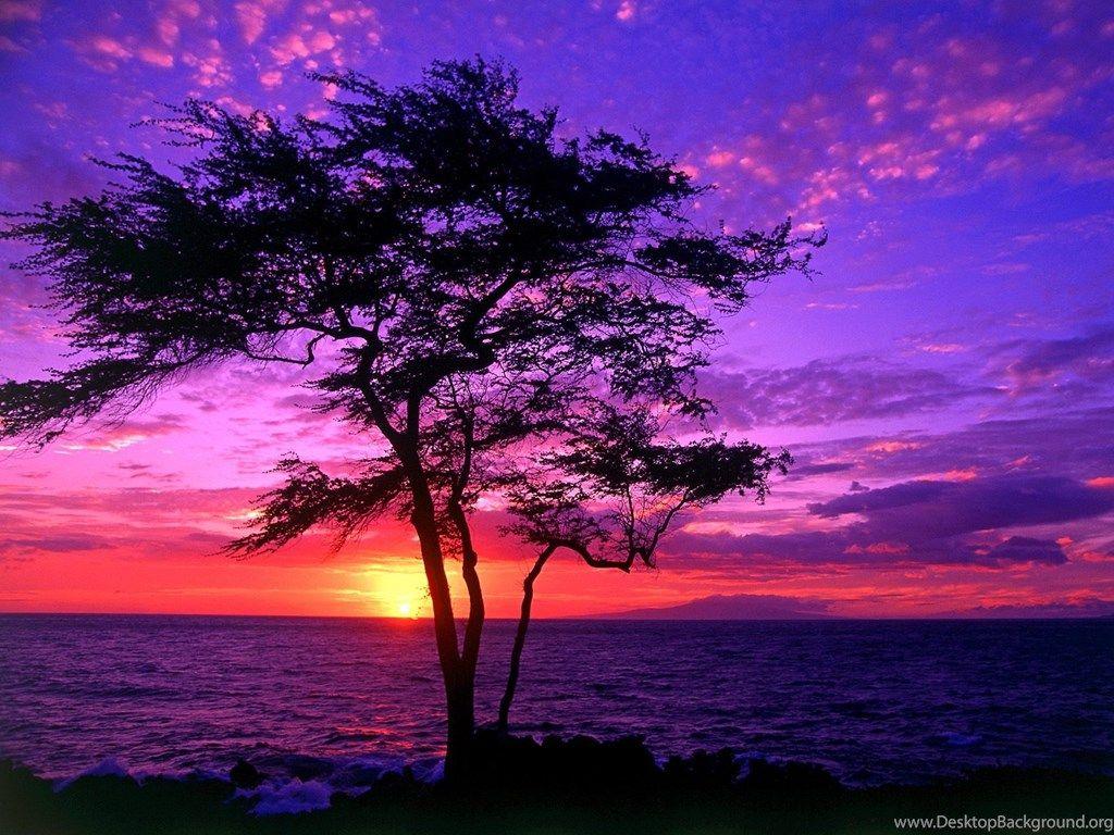 1024x768 Hawaii Beach Sunset Wallpaper Desktop Background