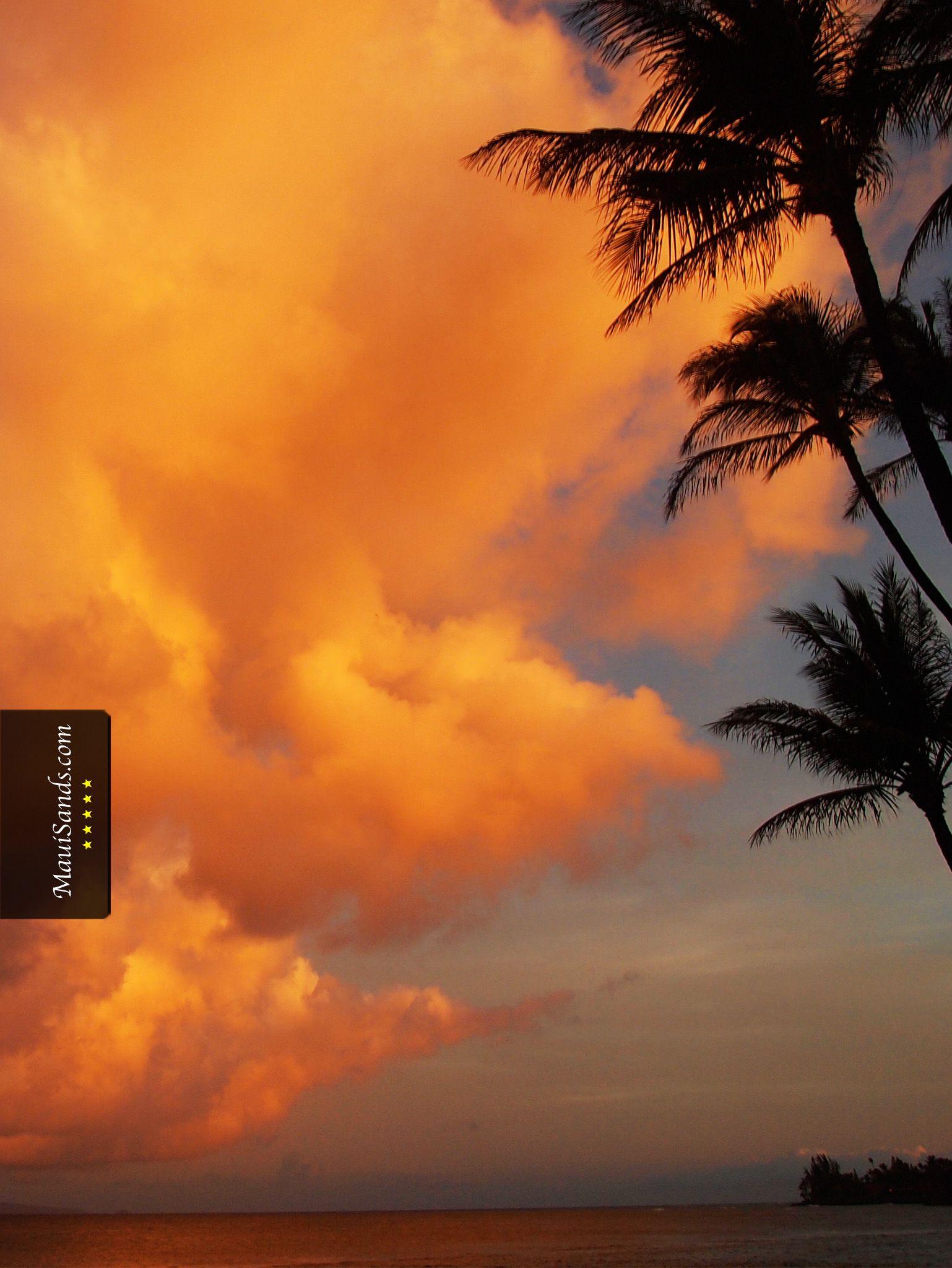 Hình nền Hawaii 1538x2048 từ Maui Sands
