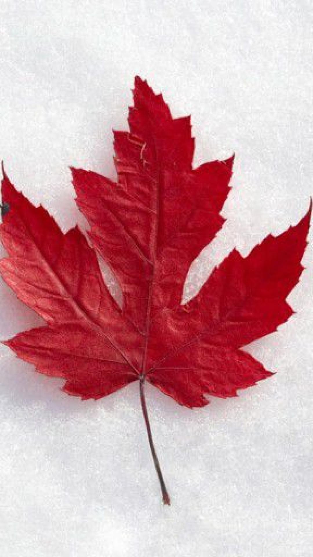1080x1920 Canada Flag Wallpaper iPhone Group , Download for free