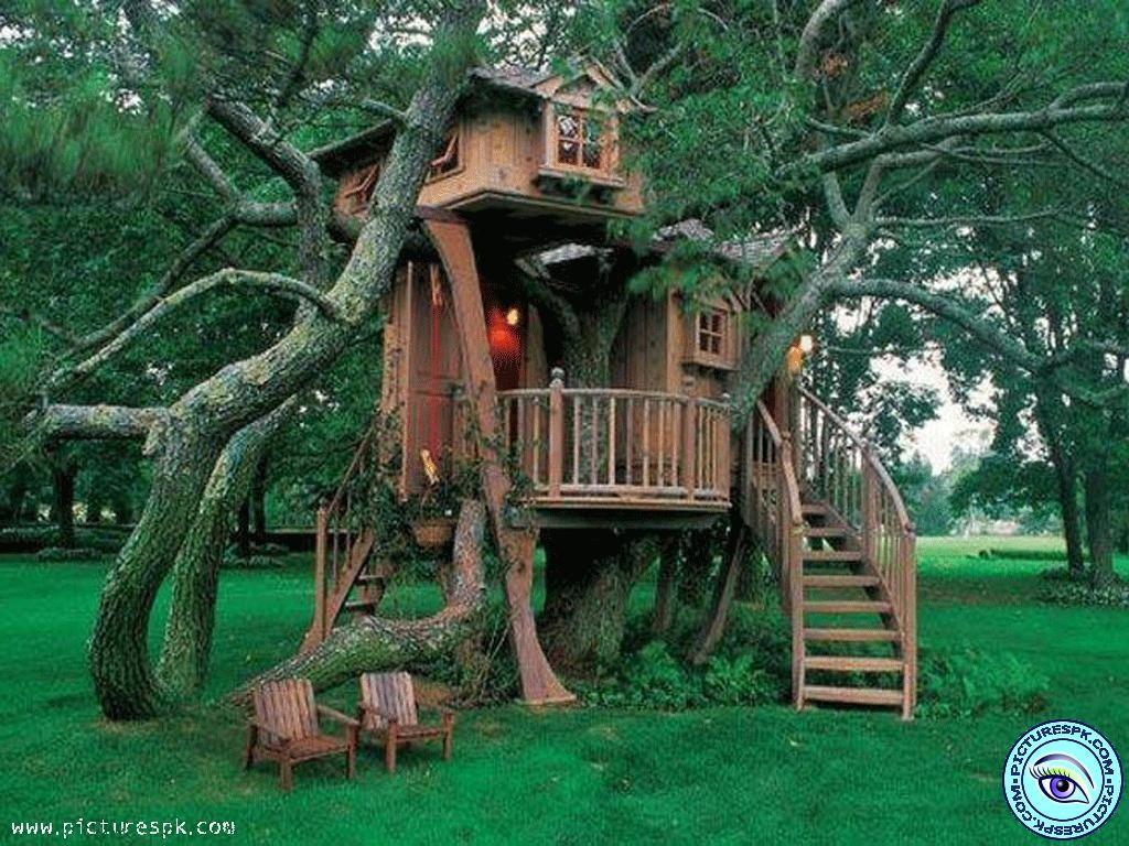 Tree House Wallpapers - Top Free Tree House Backgrounds - WallpaperAccess
