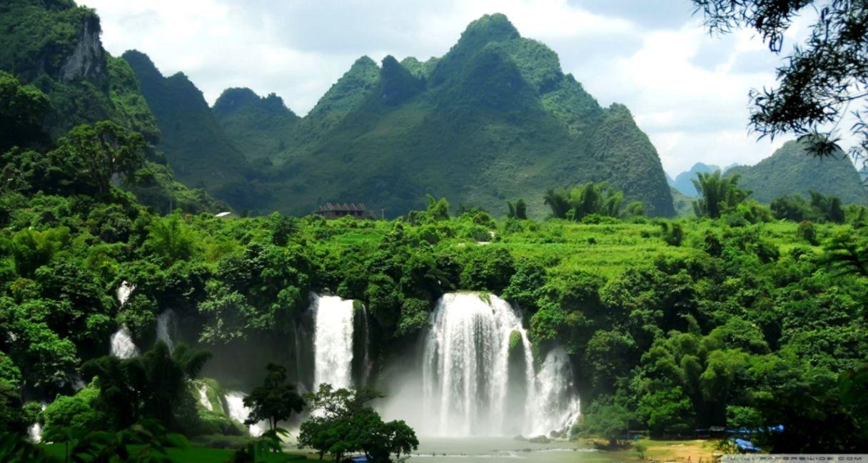 1216x648 Tropical Rainforest Wallpaper