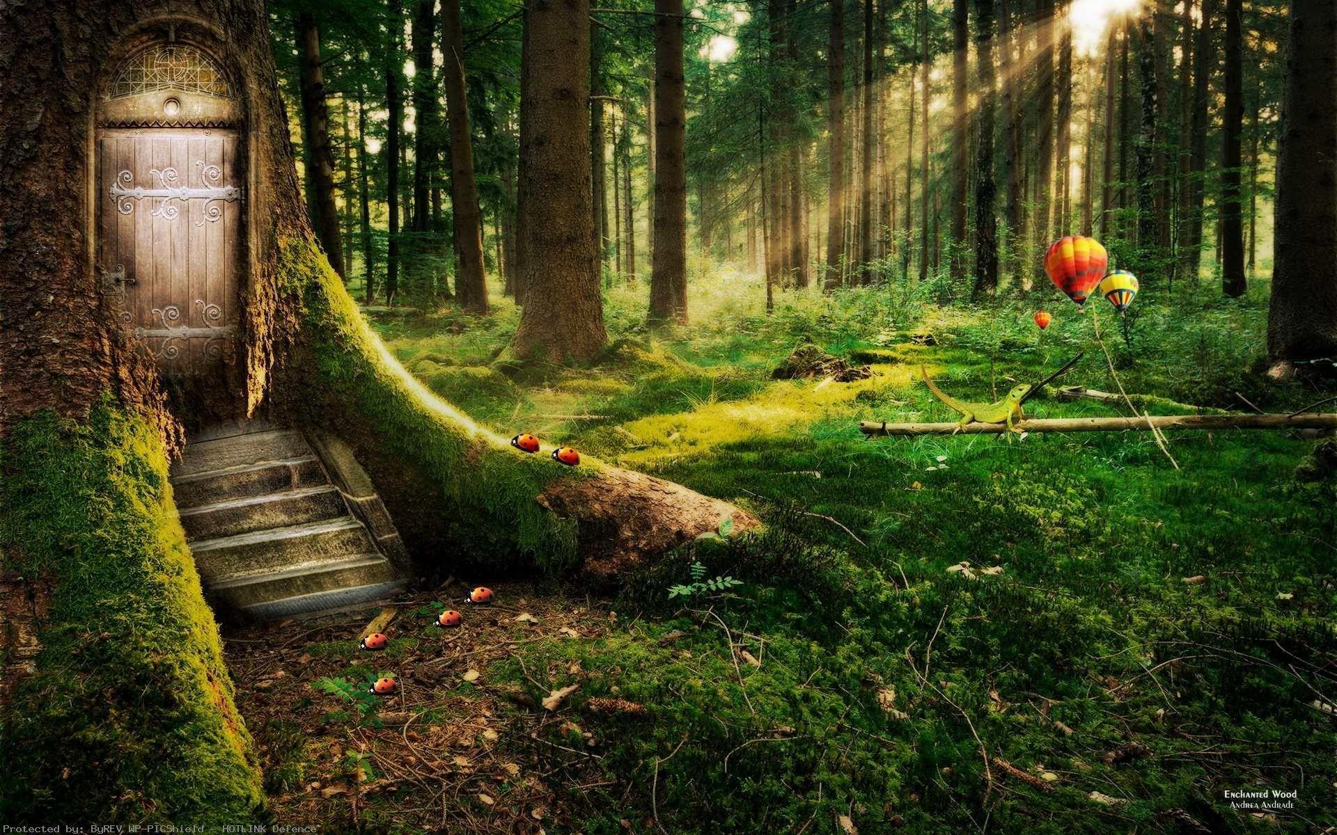 1920x1200 Tropical RainForest Wallpaper