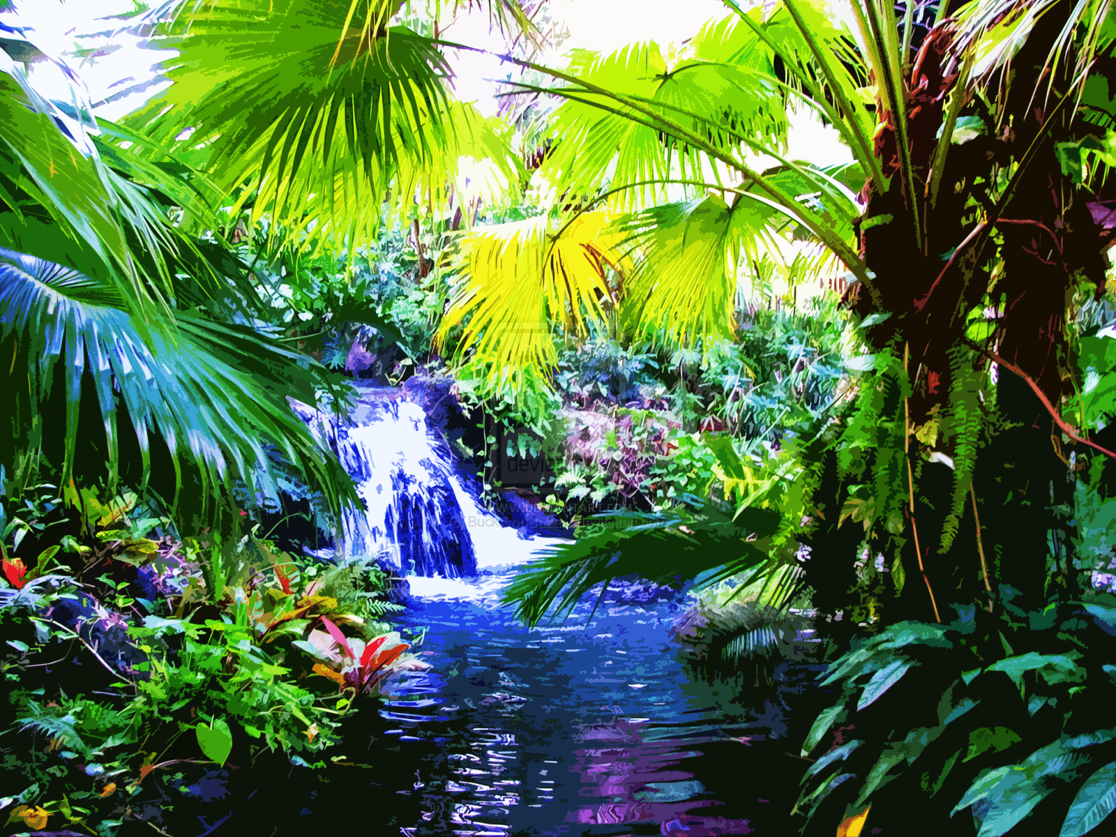 Tropical Jungle Wallpapers - Top Free Tropical Jungle Backgrounds