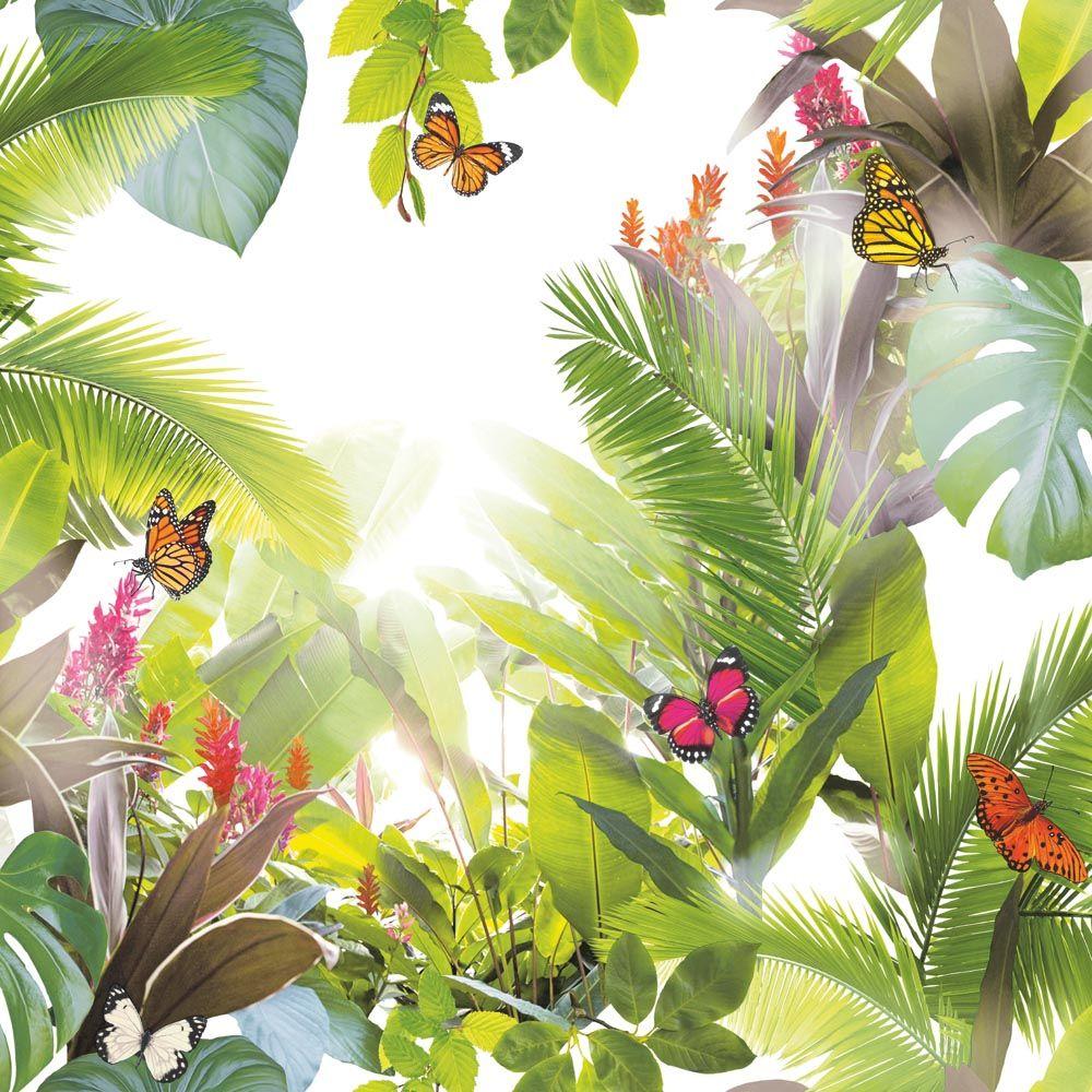 1000x1000 Tropical Jungle Wallpaper