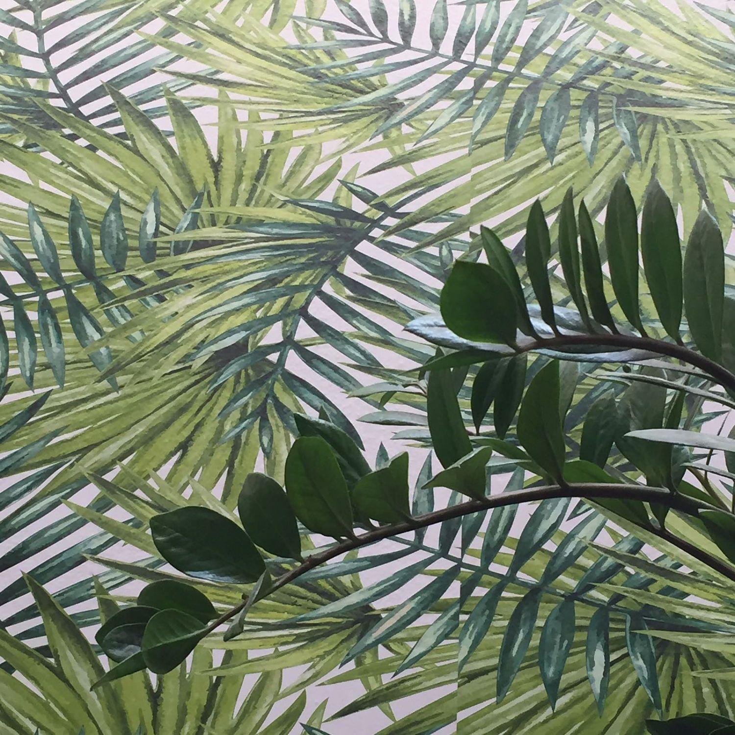 1500x1500 Tropical Forest Wallpaper, Tropical Wallpaper, Jungle
