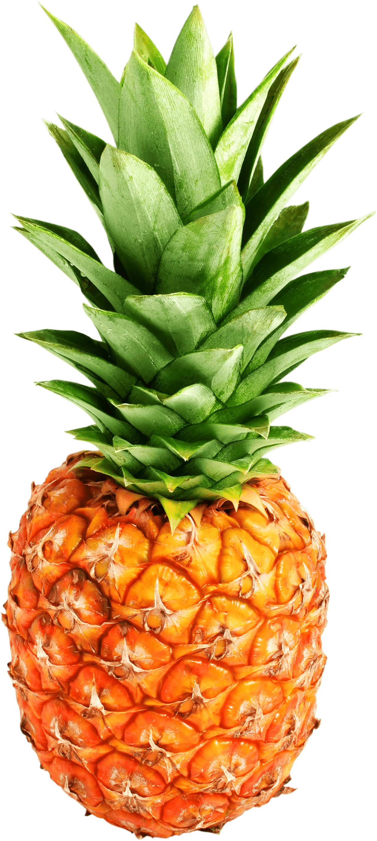 1280x2851 Pineapple PNG image free picture download