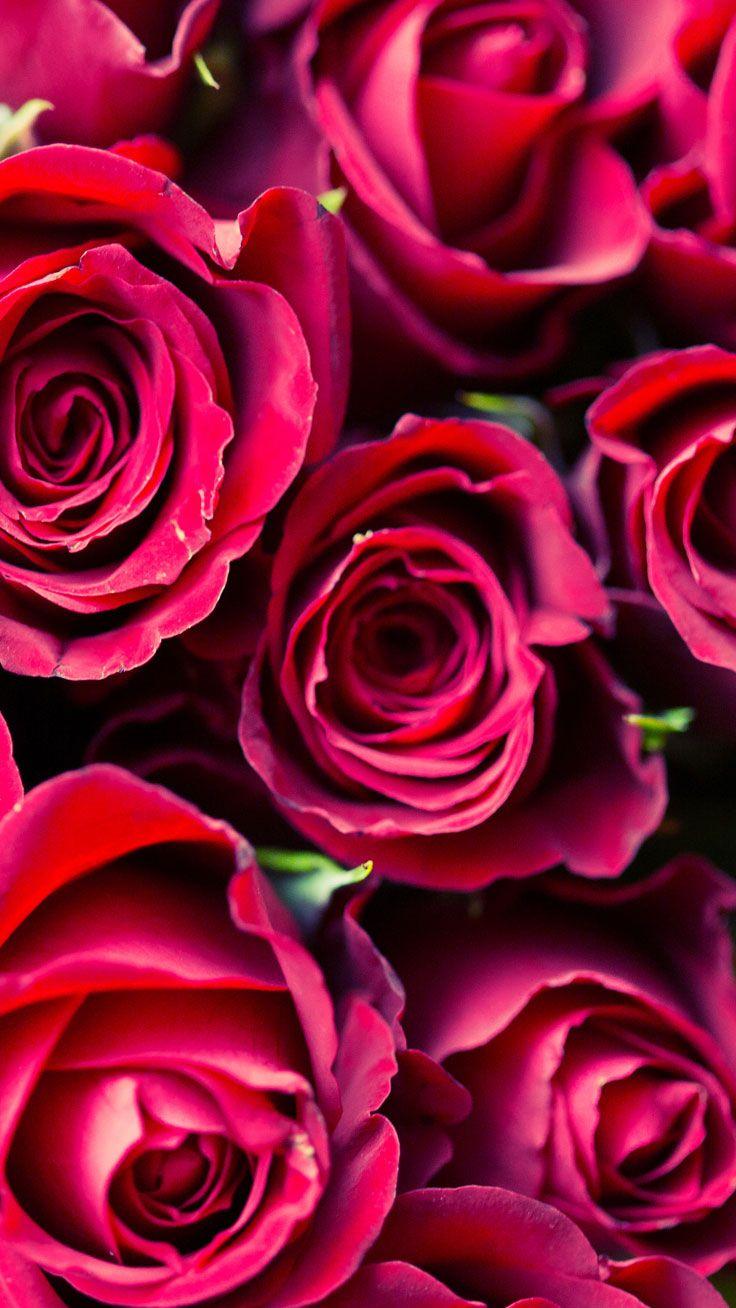 736x1308 Super Cute Valentine's Day iPhone Wallpaper. Preppy