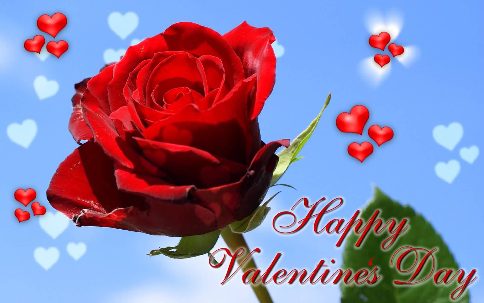 1600x1000 Most Beautiful Valentine Day Wallpaper