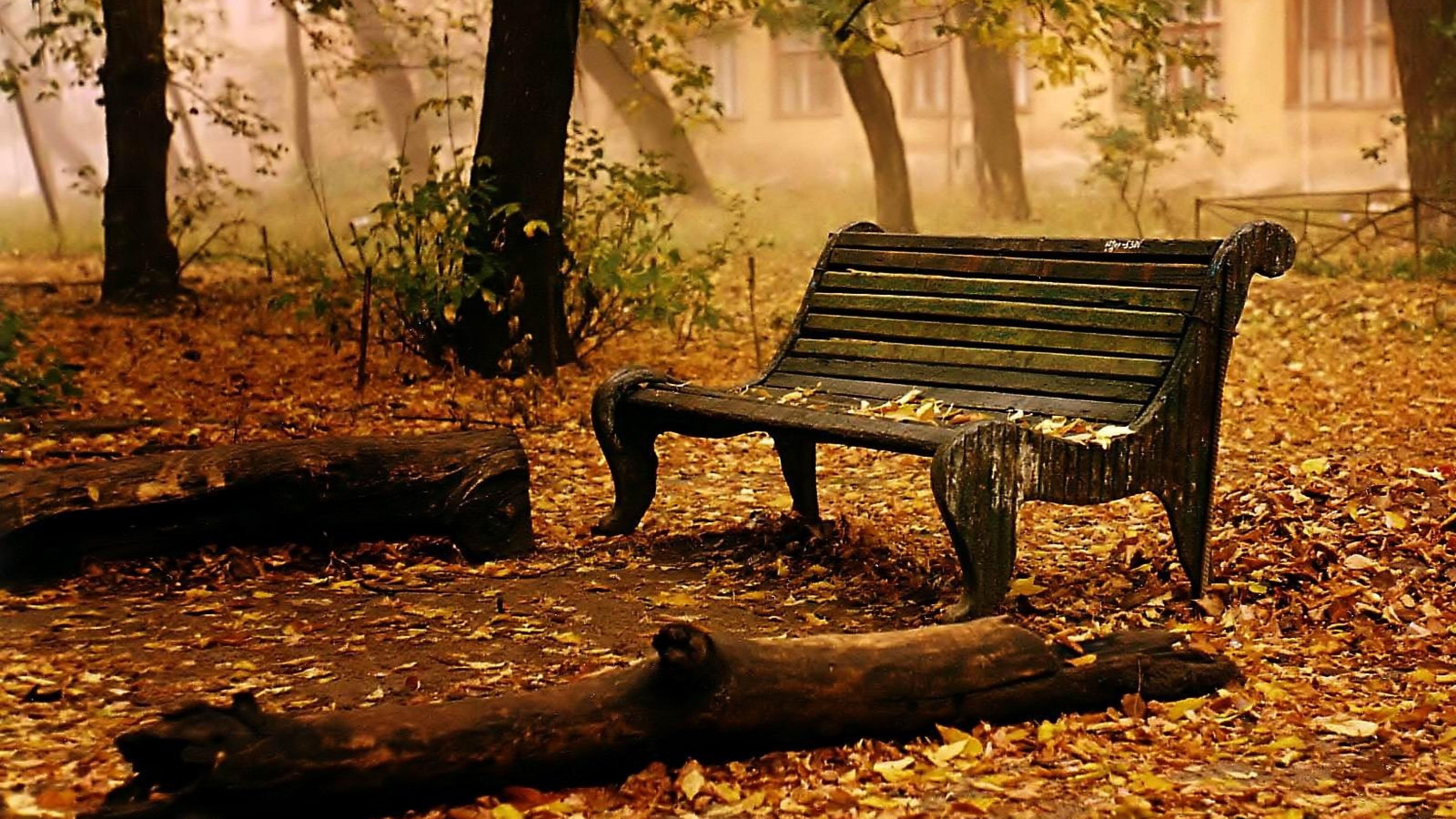 7680x4320 Free Nature Wallpaper