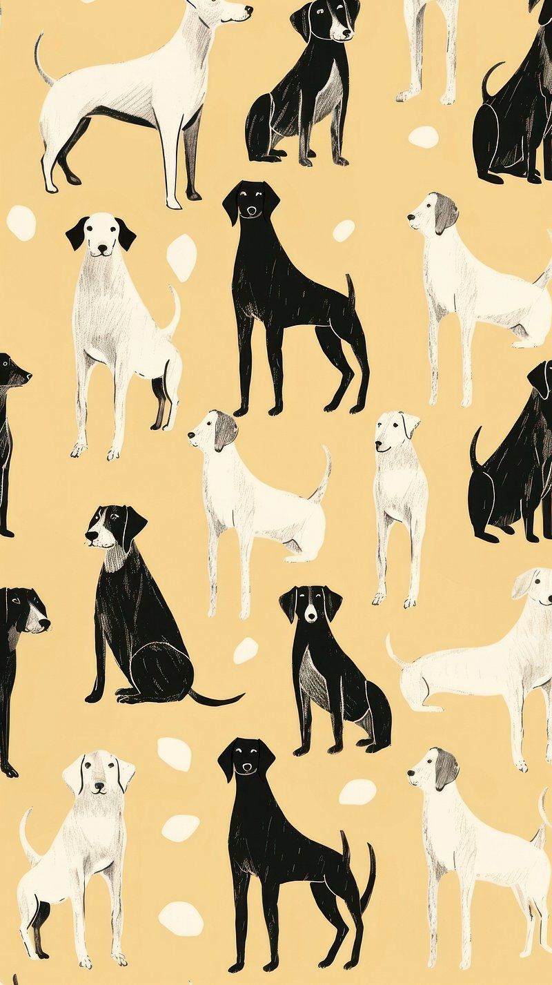 800x1427 PNG Stickers, Wallpaper