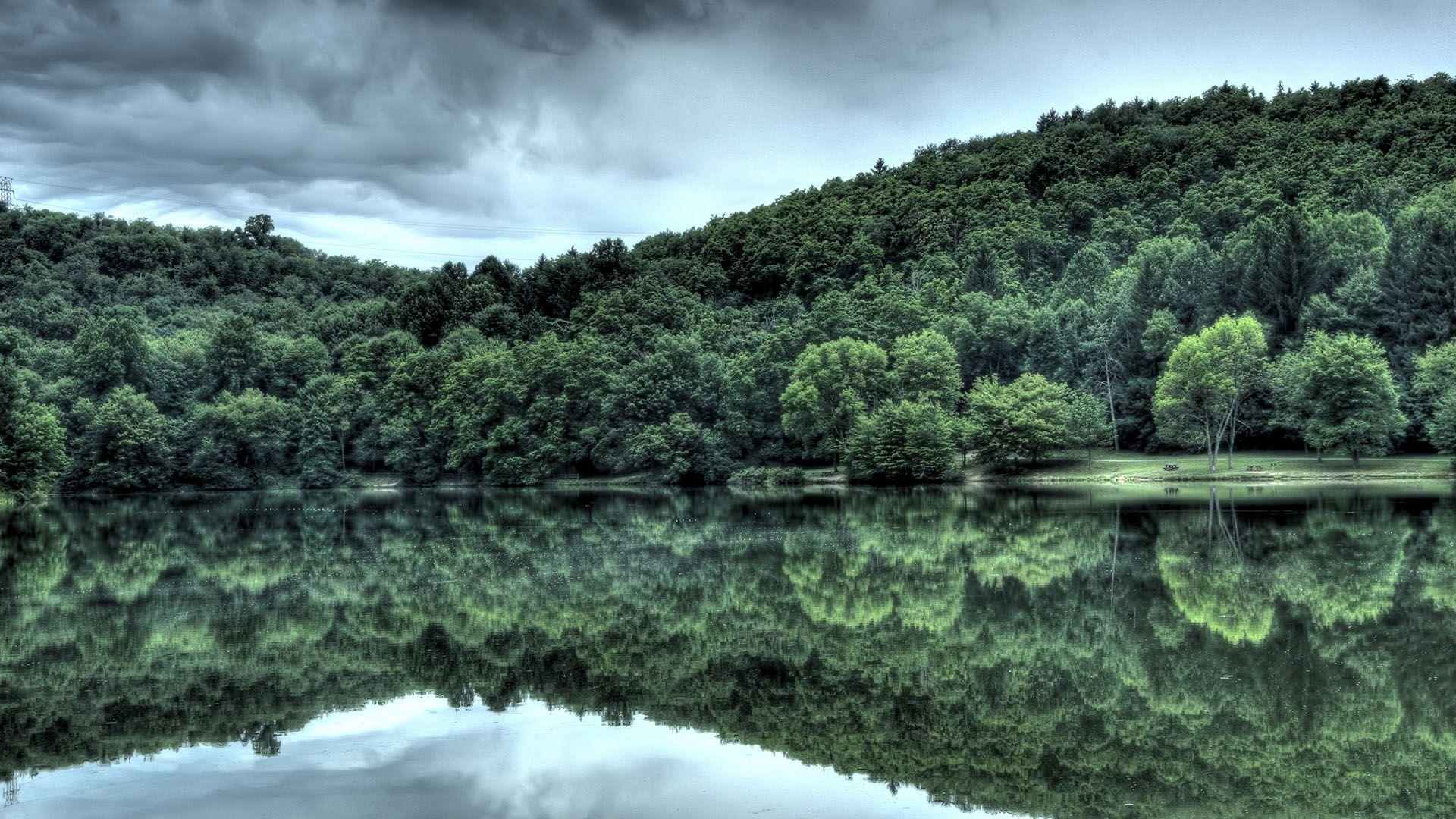 1920x1080 Wallpaper.wiki River Wallpaper Desktop Background Forest Hd PIC