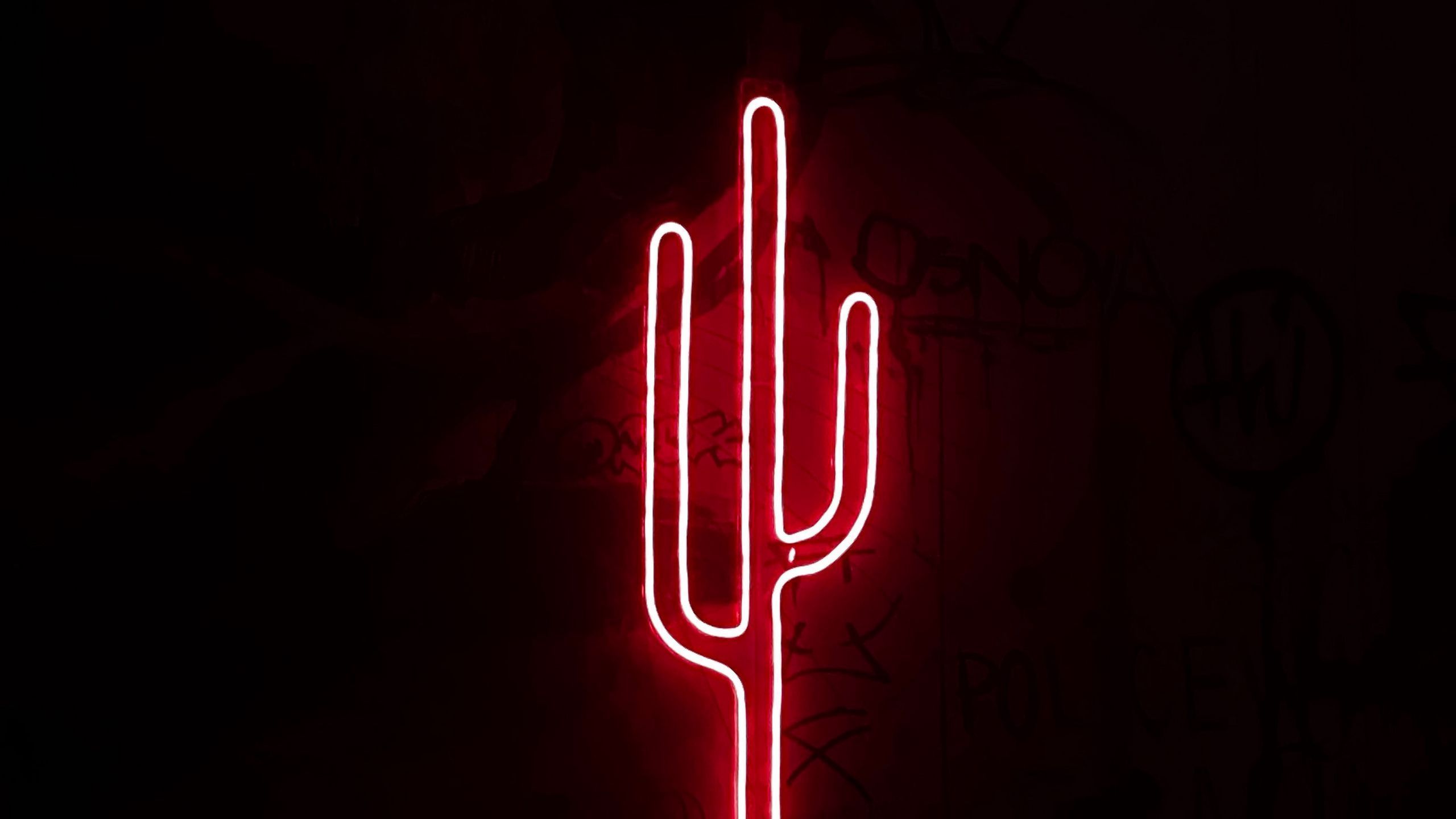 2560x1440 wallpaper 2560x1440 cactus, neon, light
