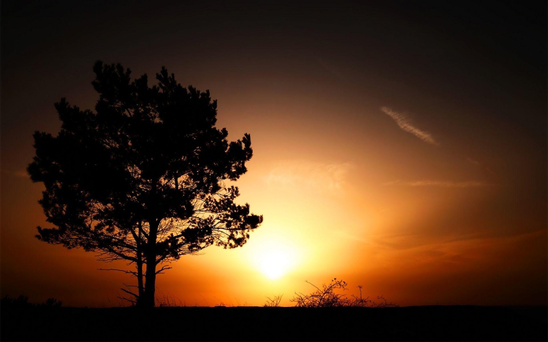 1920x1200 Beautiful Sunrise Wallpaper