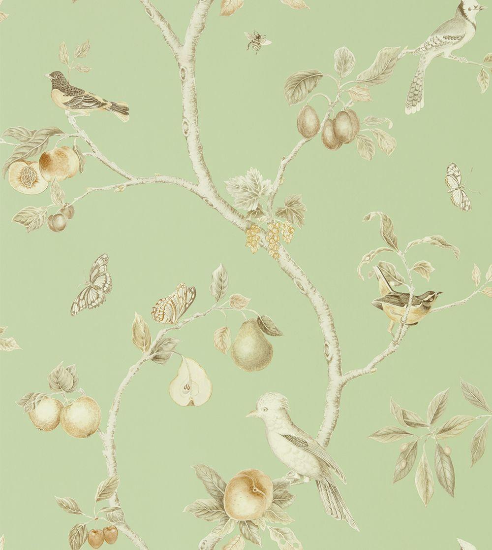 Neutral Wallpapers Top Free Neutral Backgrounds WallpaperAccess