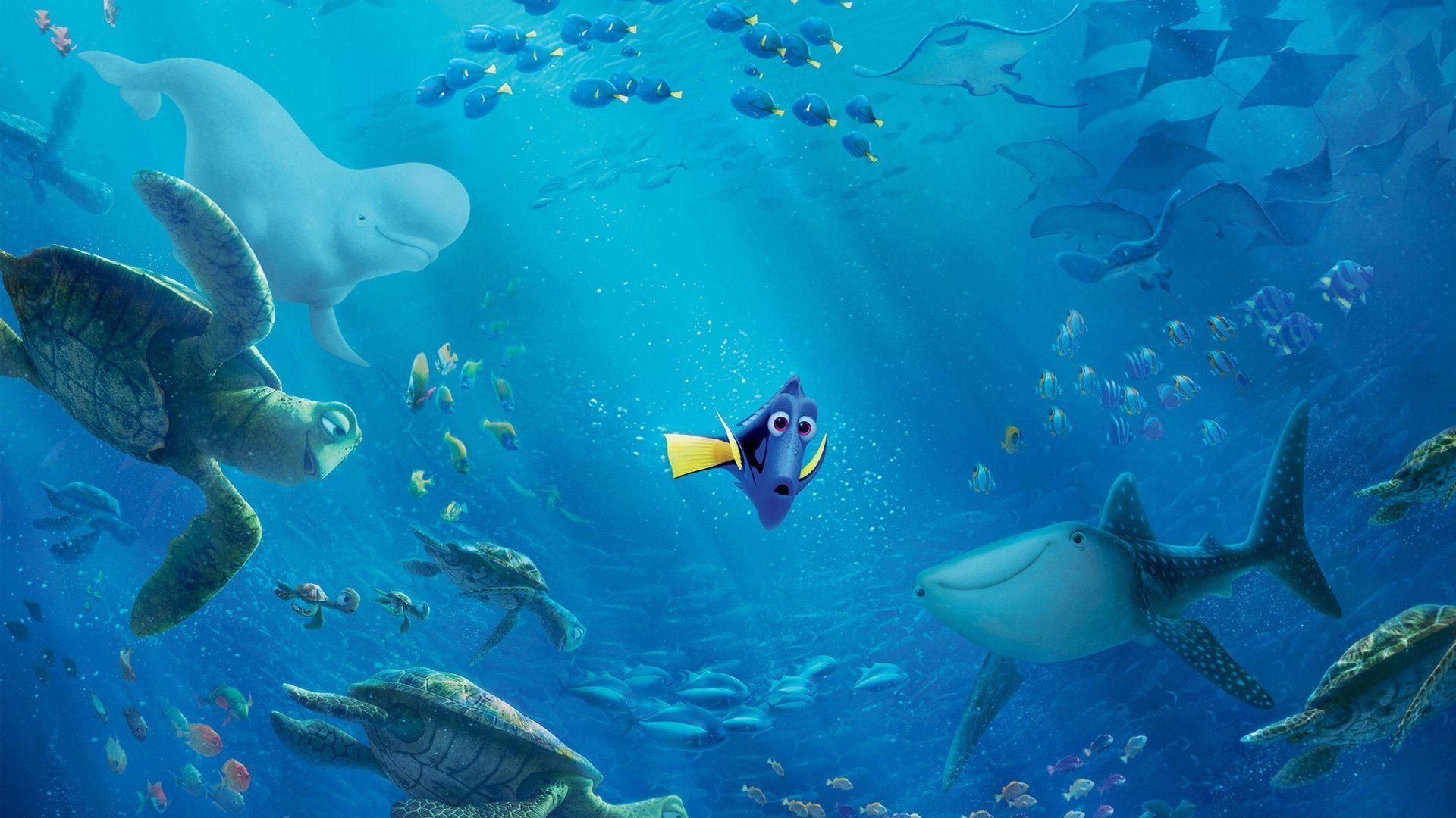 Finding Nemo Wallpapers Top Free Finding Nemo Backgrounds Wallpaperaccess 4687