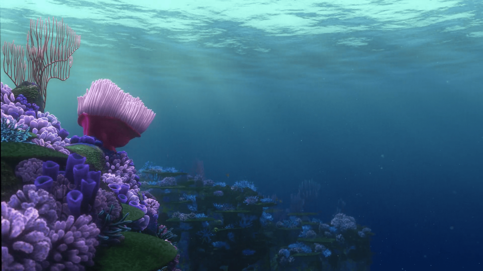 Finding Nemo Desktop Wallpaper