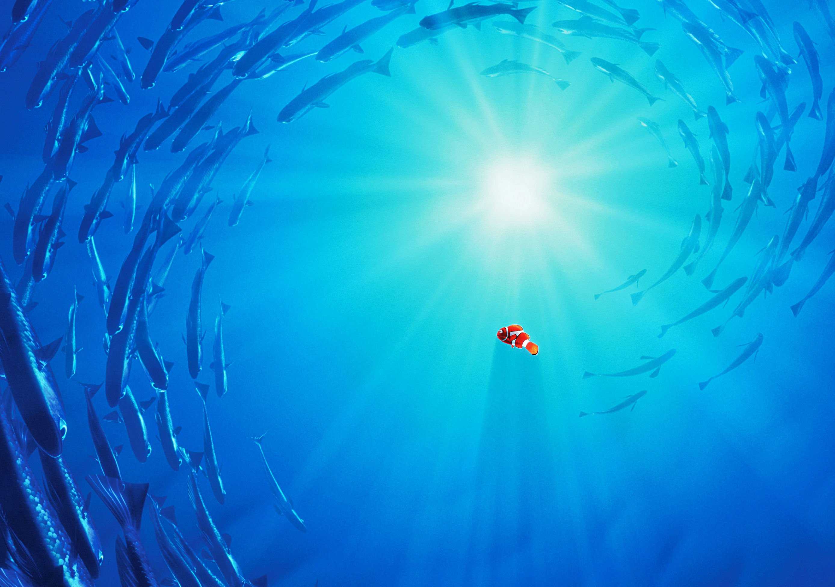 2776x1953 Finding nemo background Gallery