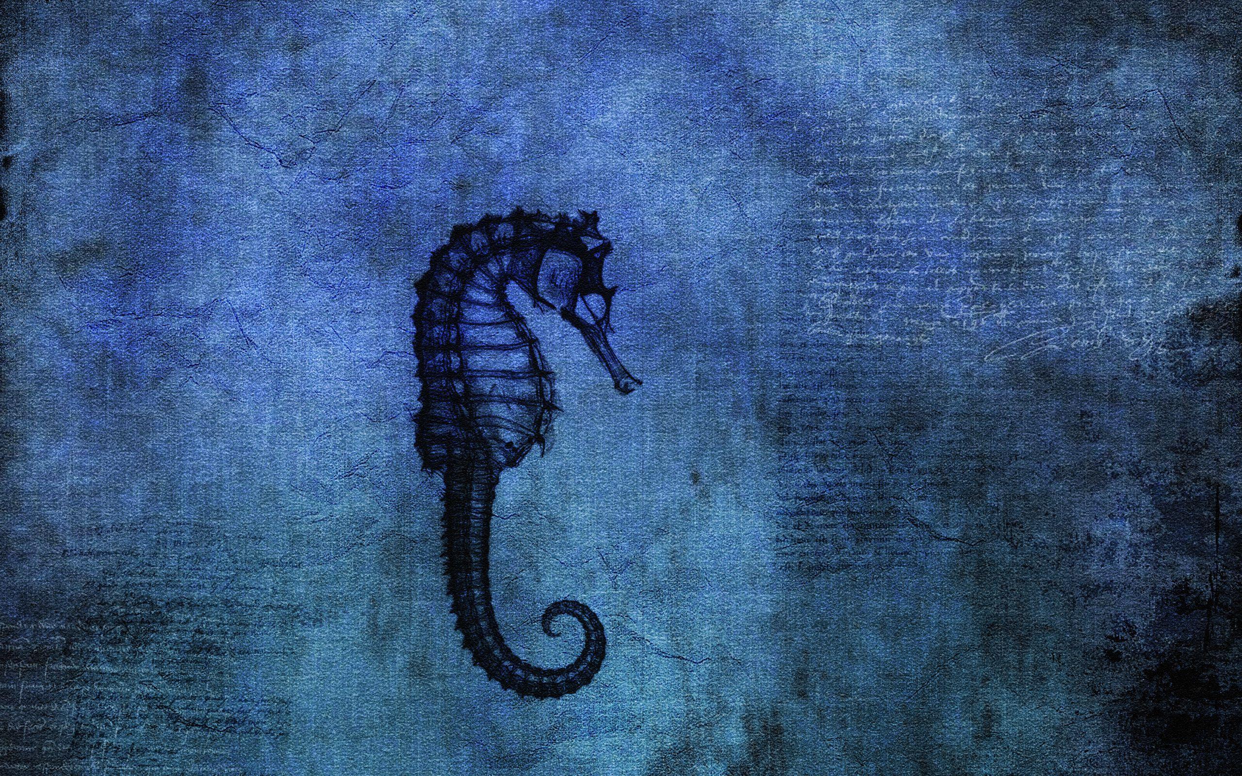 2560x1600 Seahorse HD Wallpaper and Background Image