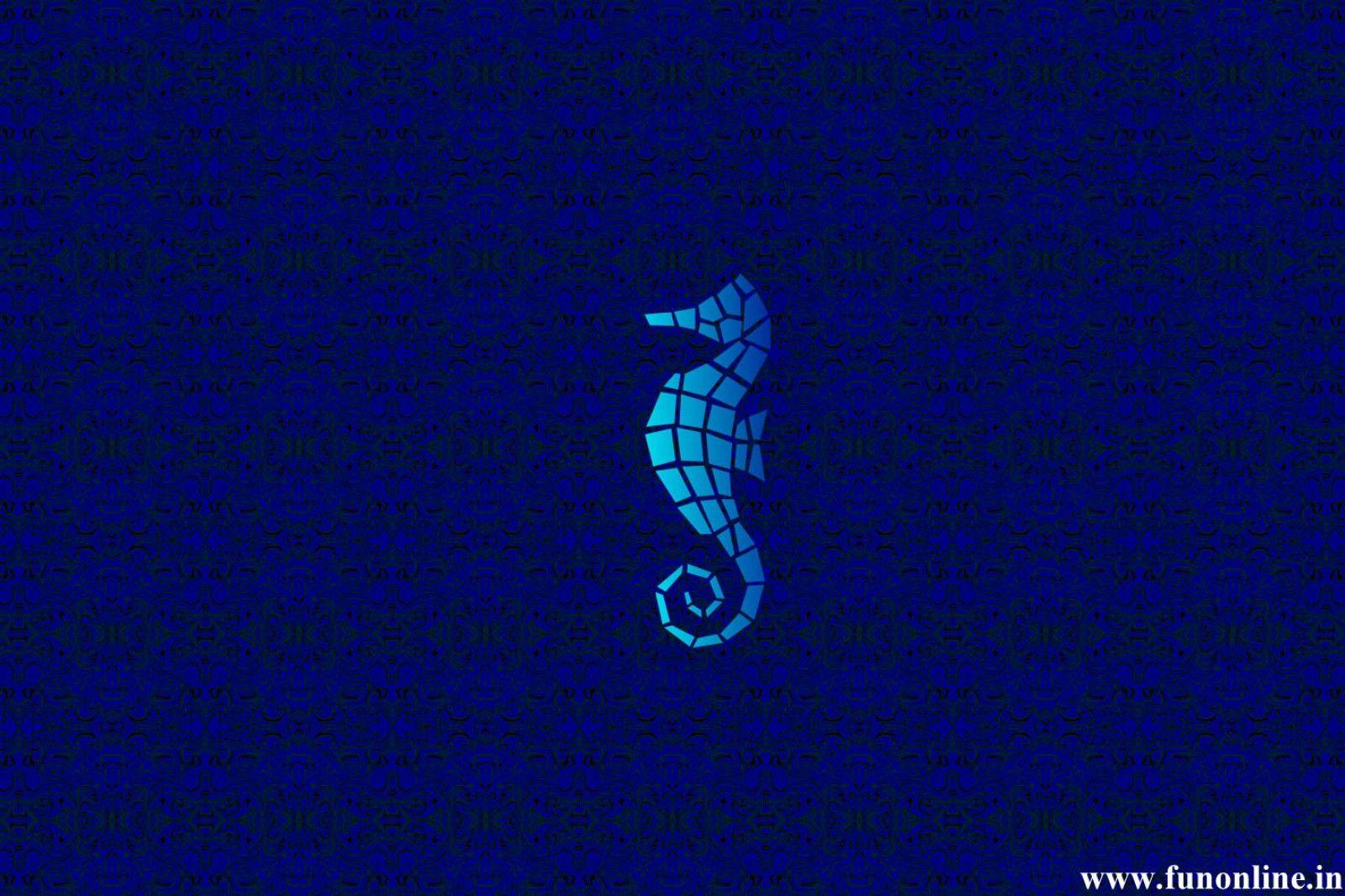 1600x1066 Free download Seahorse Wallpaper Download Cute Water